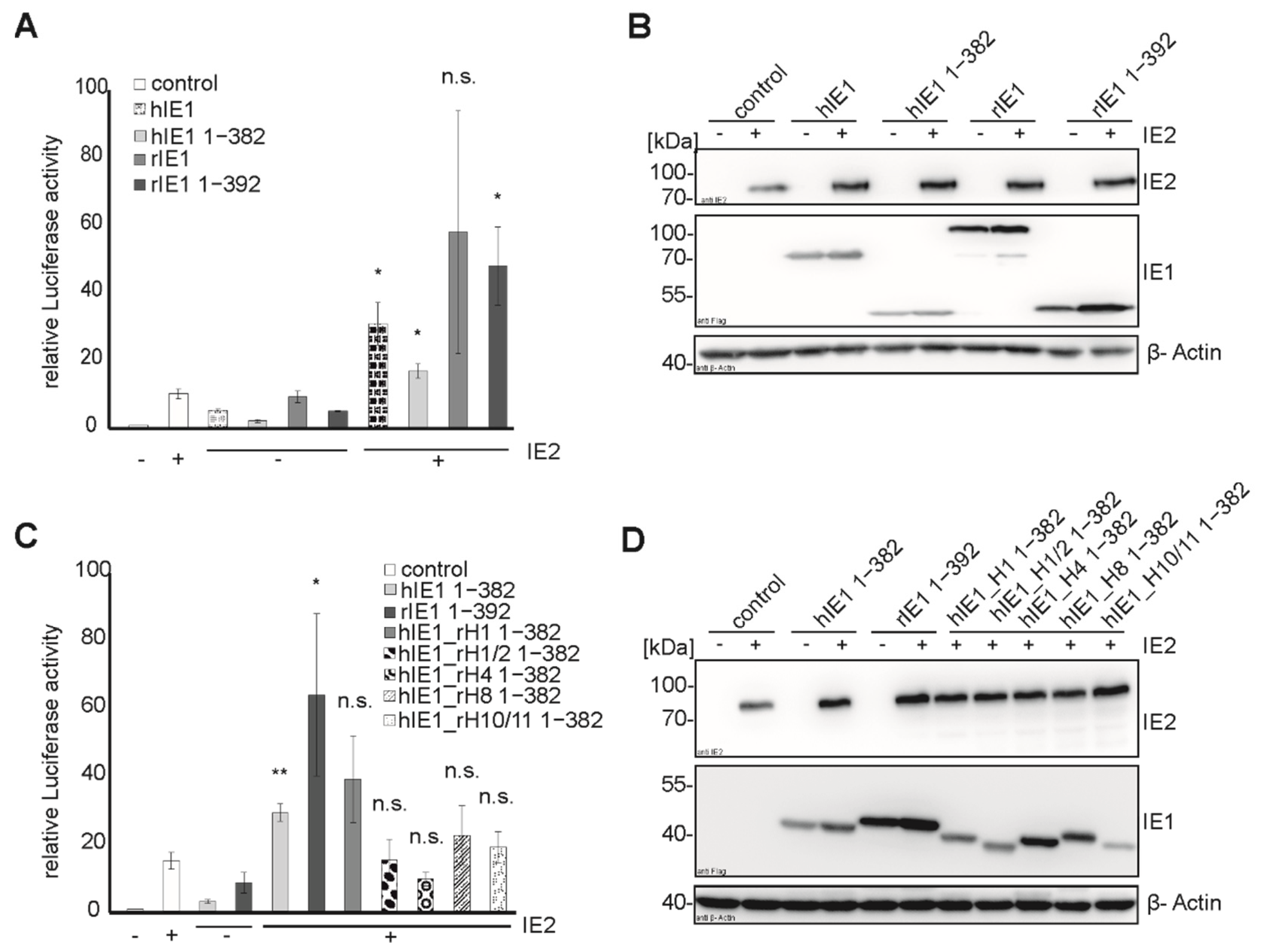 Viruses 14 01626 g006