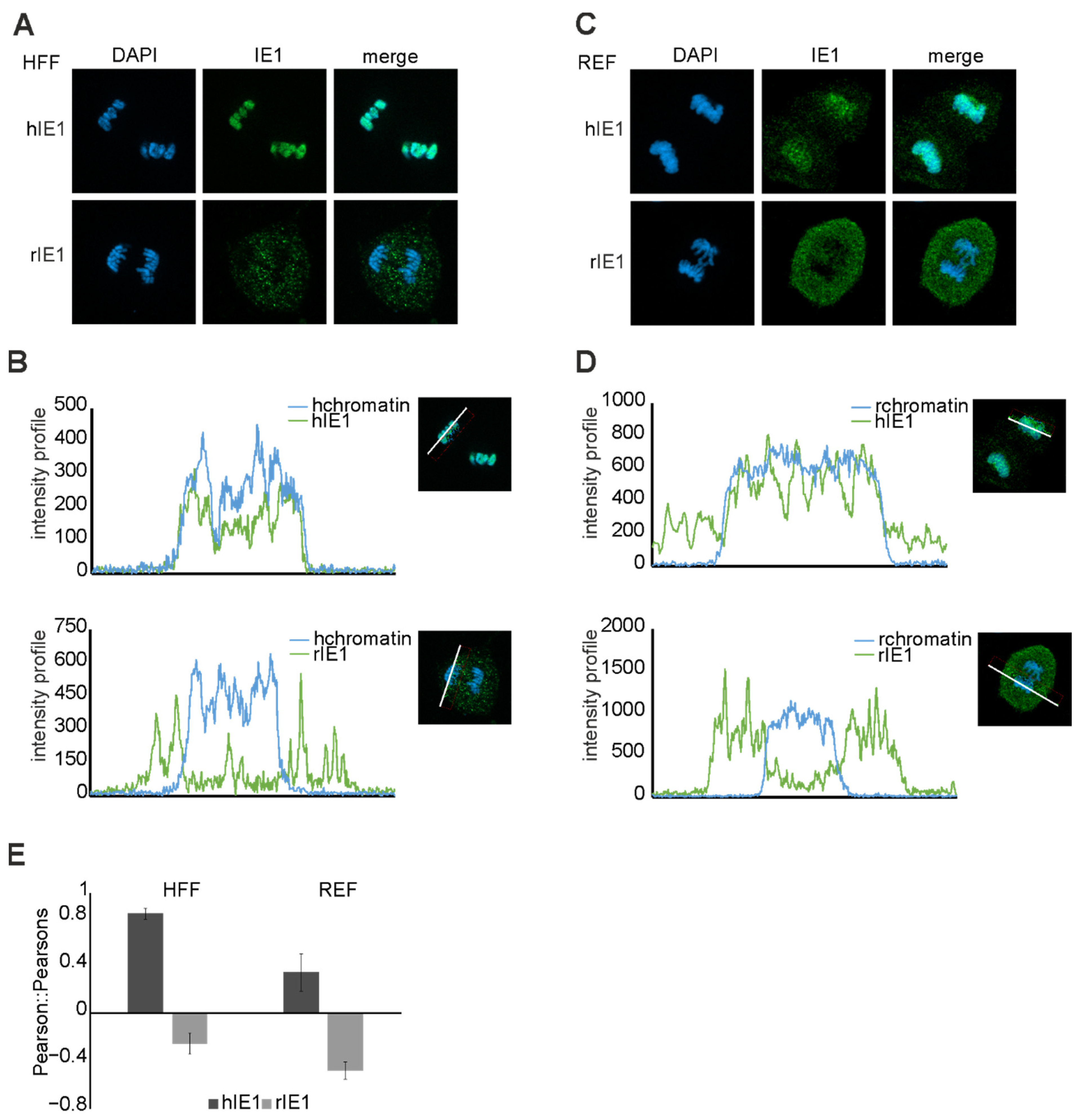 Viruses 14 01626 g008