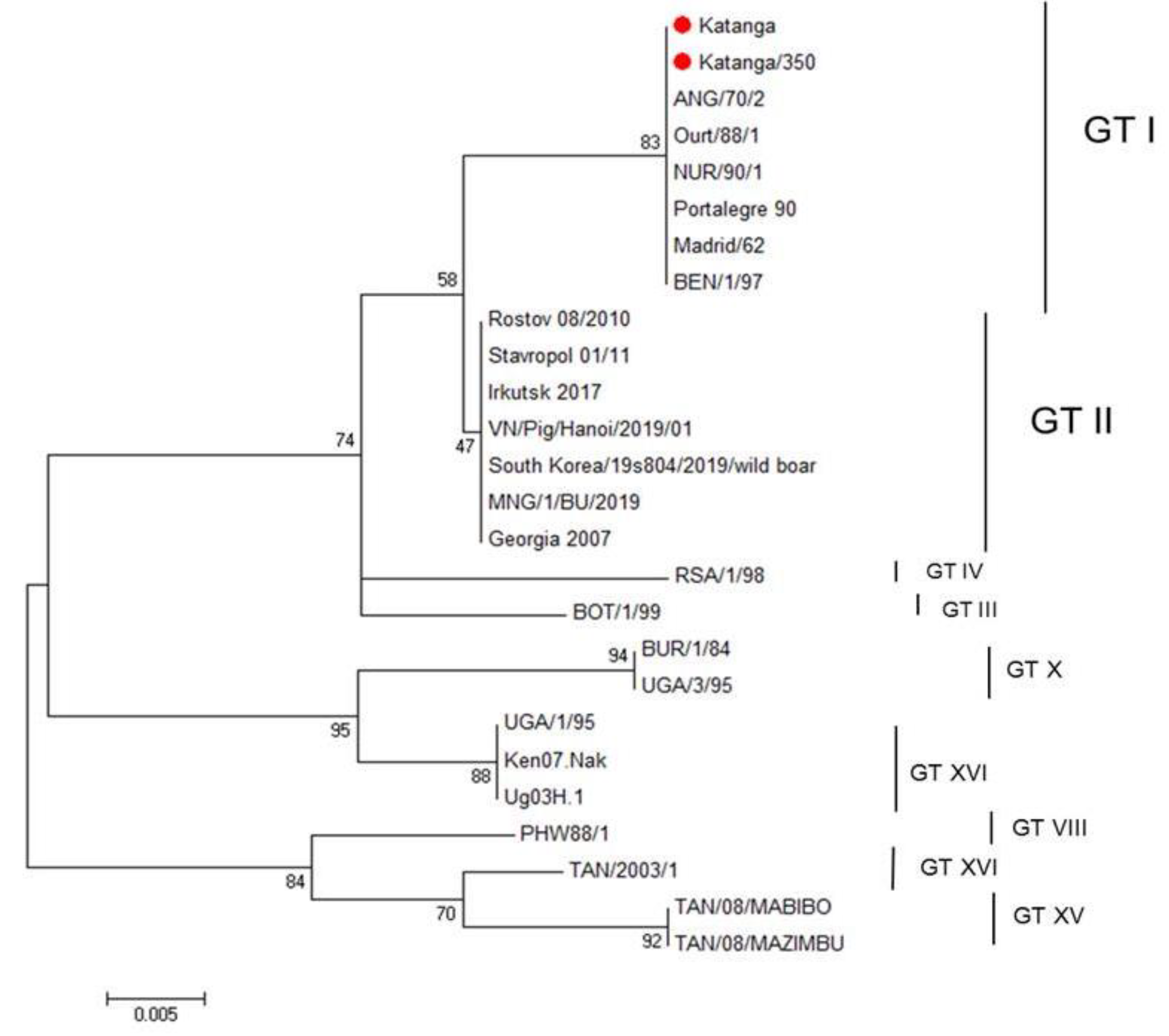 Viruses 14 01630 g001