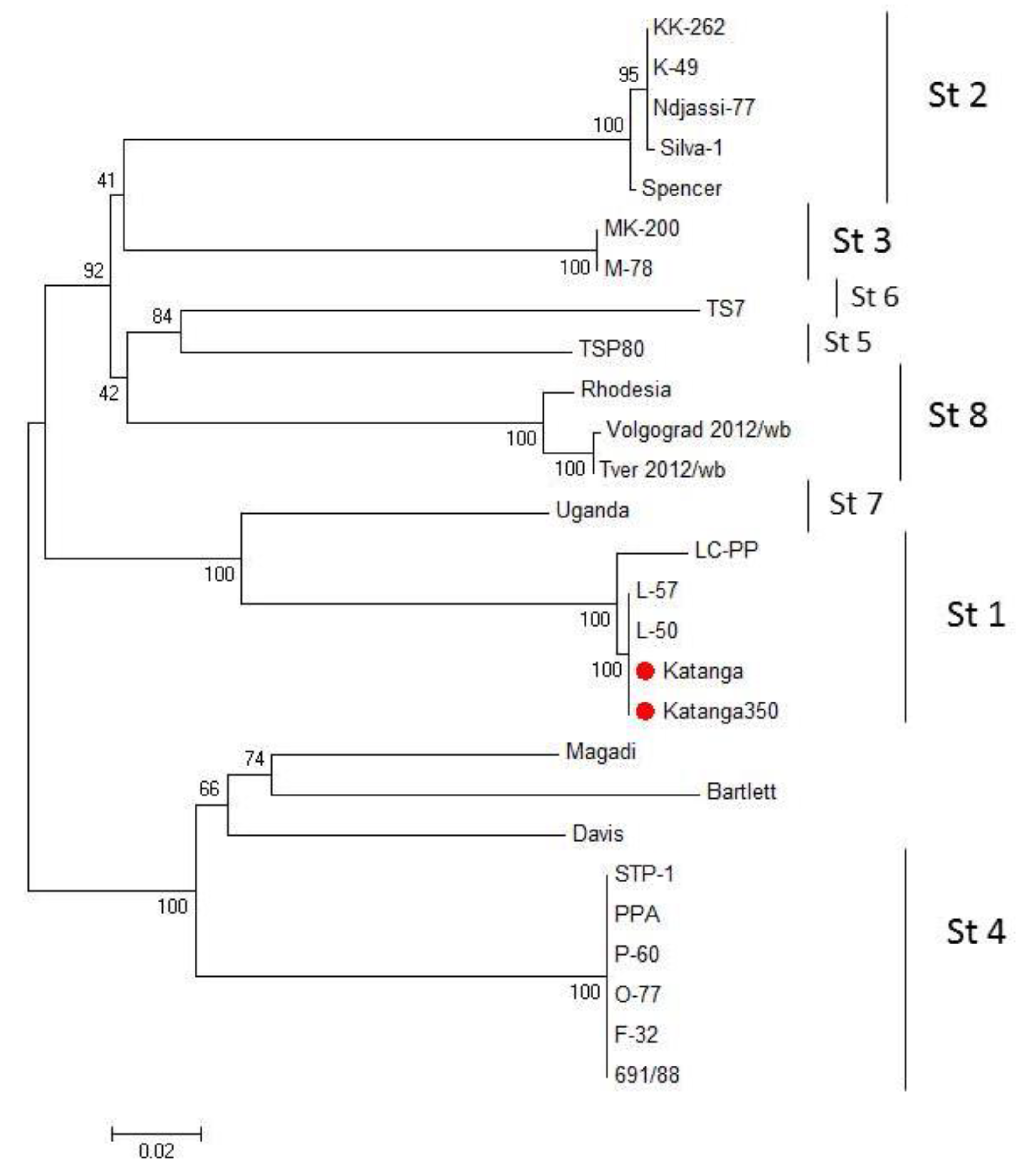Viruses 14 01630 g002