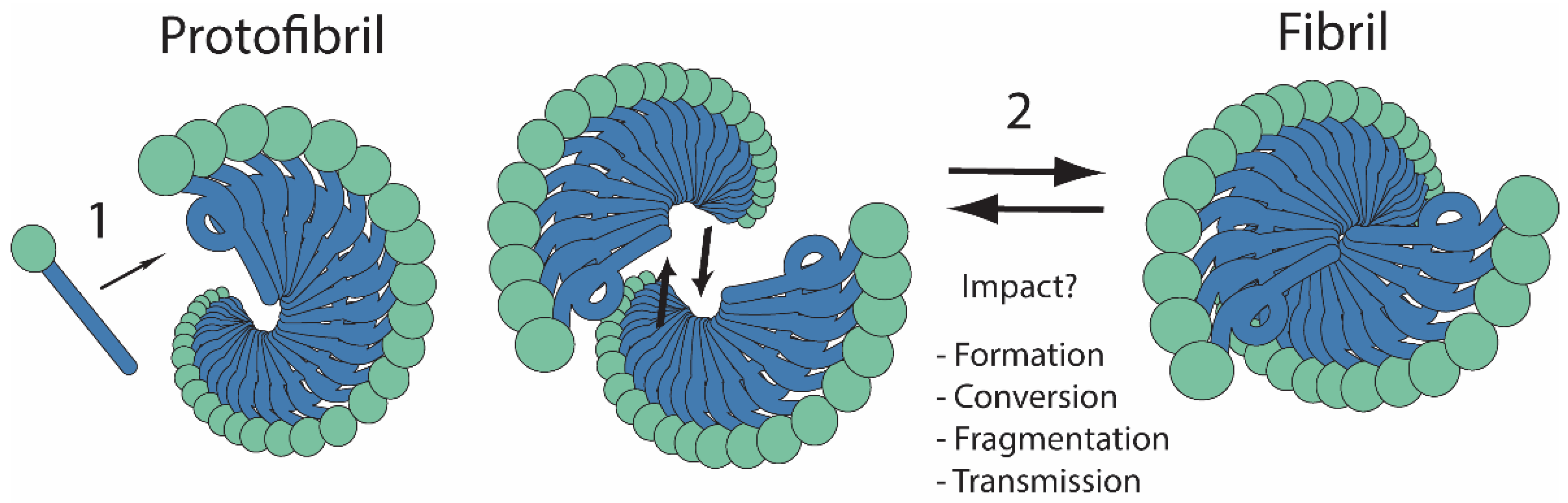 Viruses 14 01635 g001