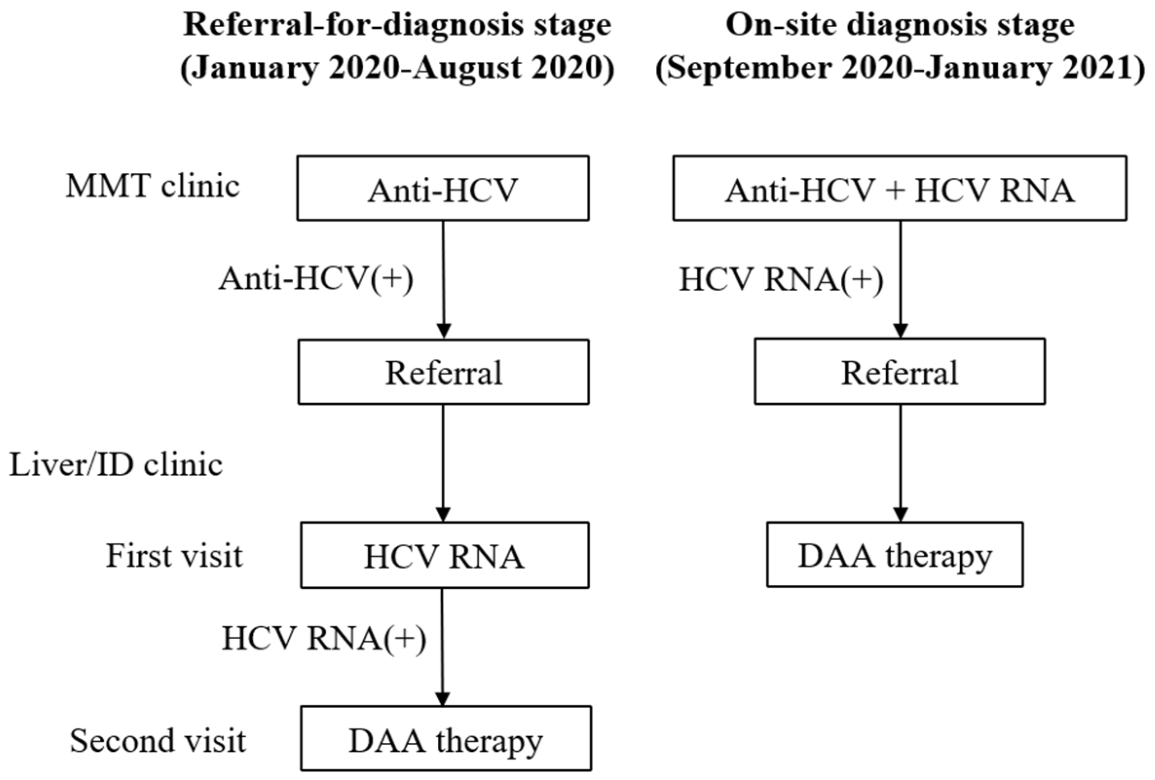Viruses 14 01637 g001