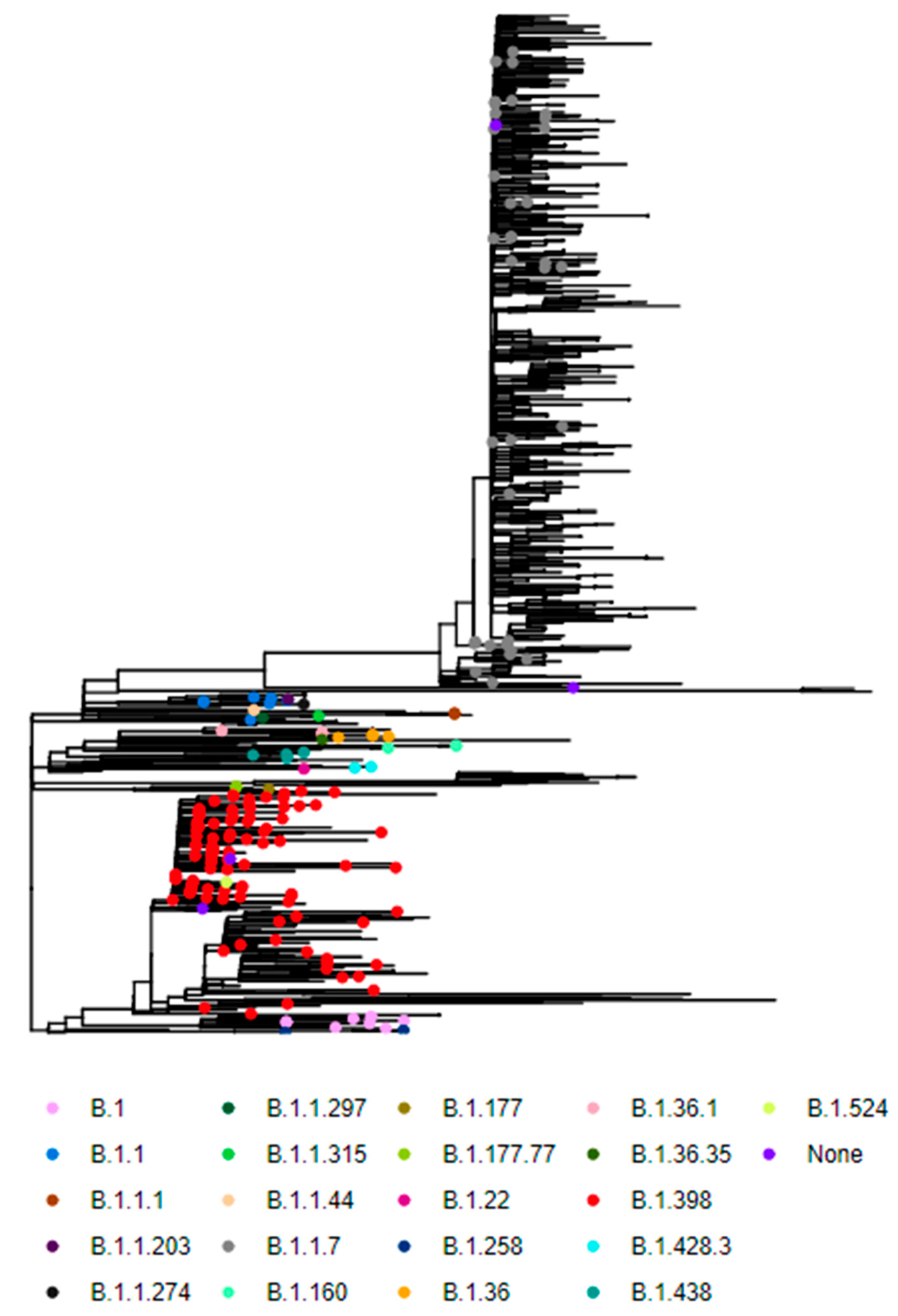 Viruses 14 01640 g0a2