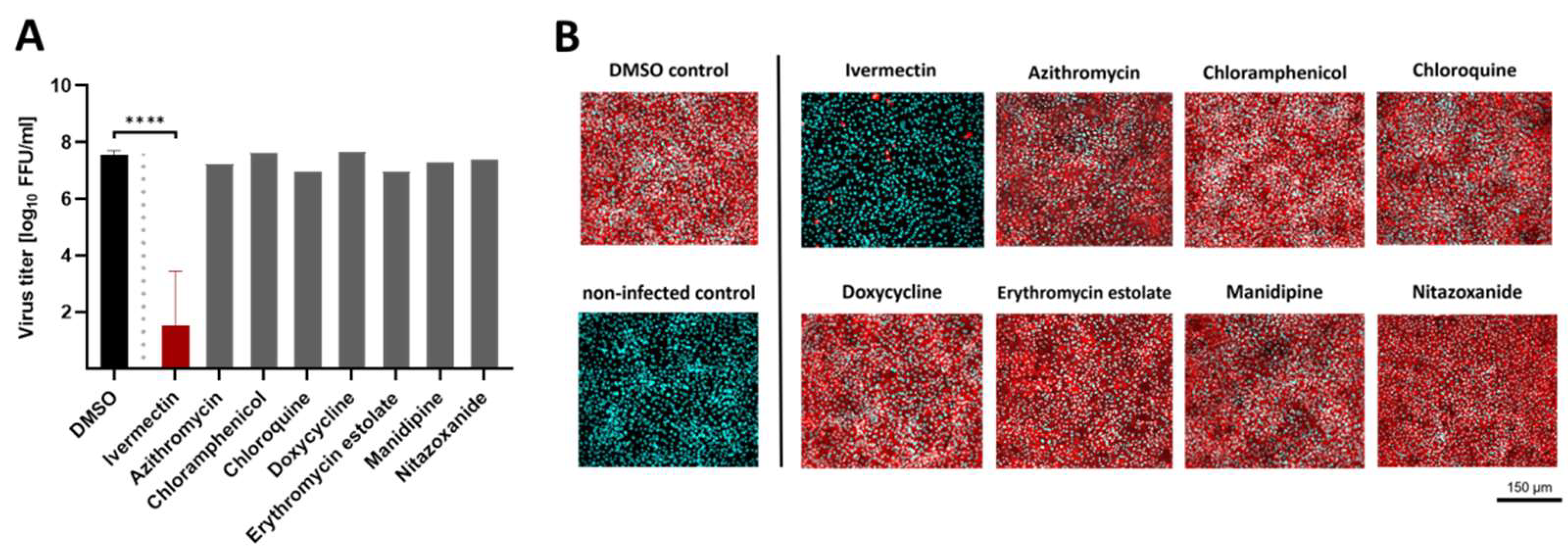 Viruses 14 01641 g002