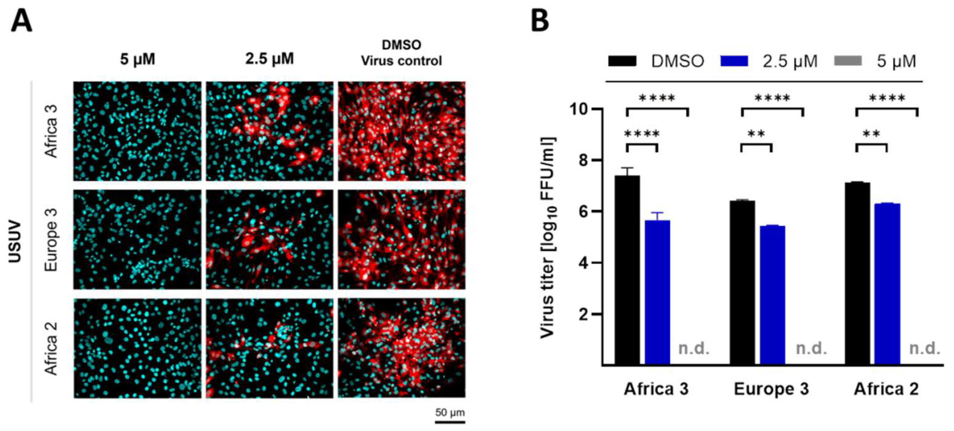 Viruses 14 01641 g004