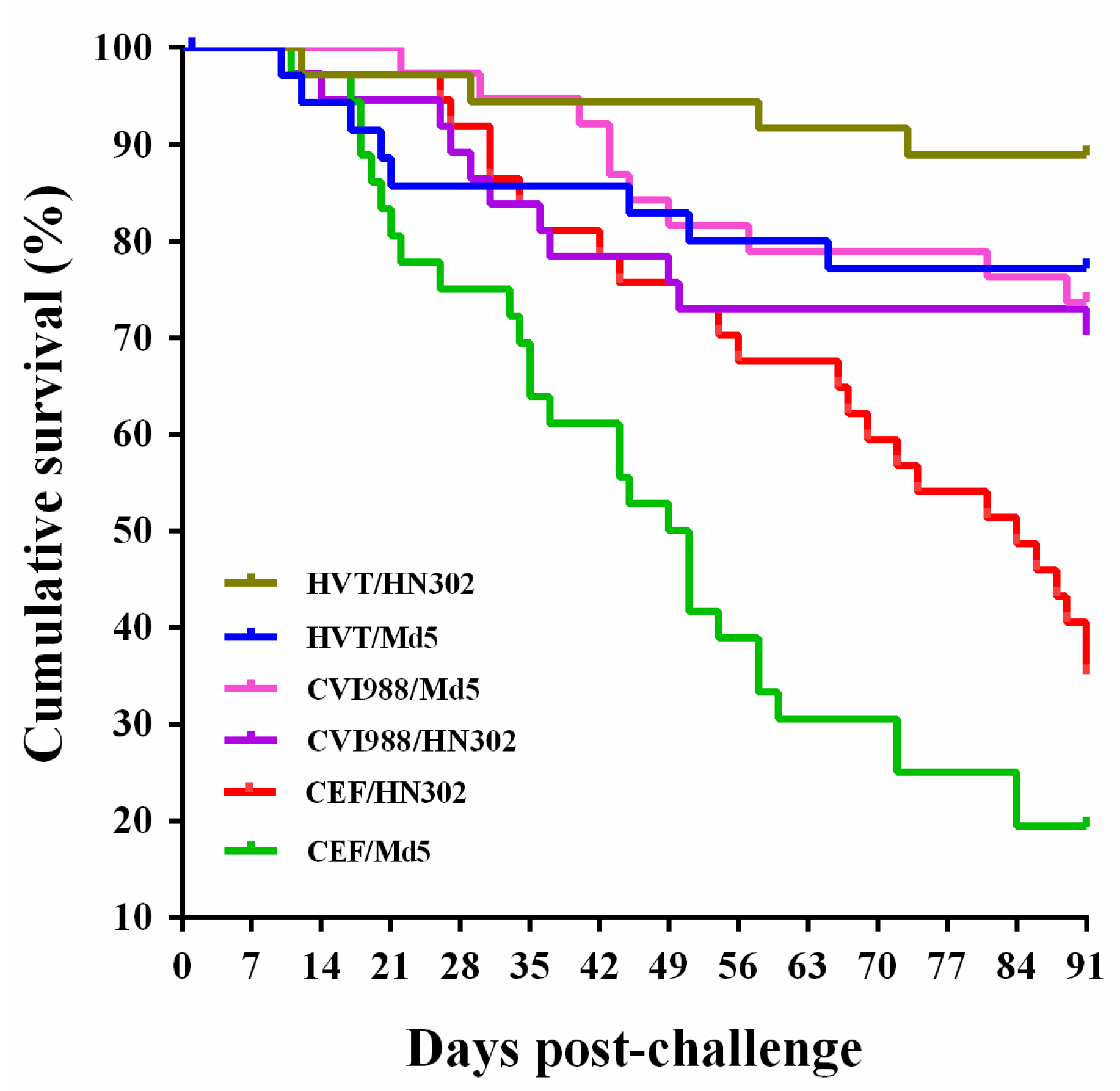 Viruses 14 01651 g003