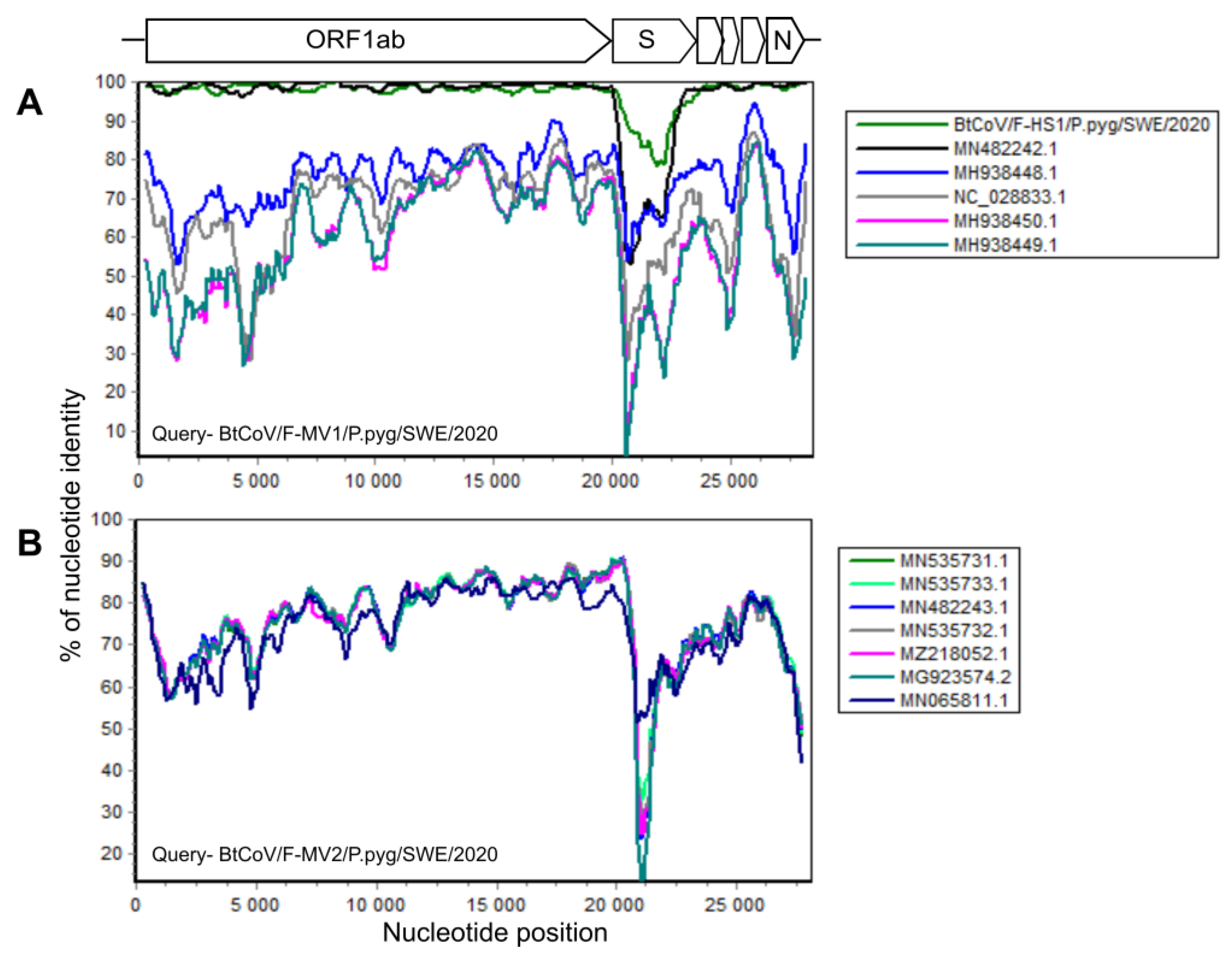 Viruses 14 01654 g002