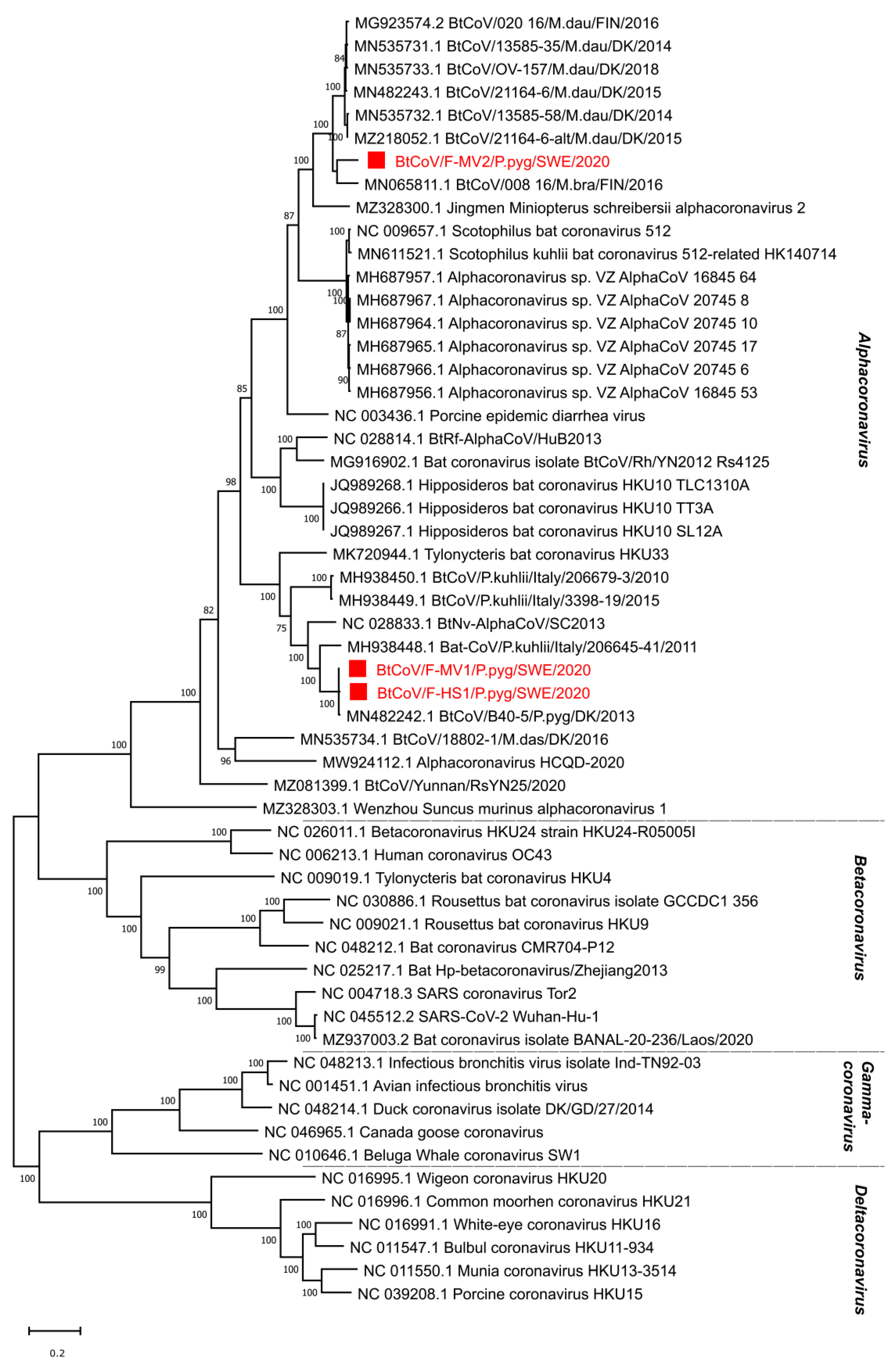 Viruses 14 01654 g003