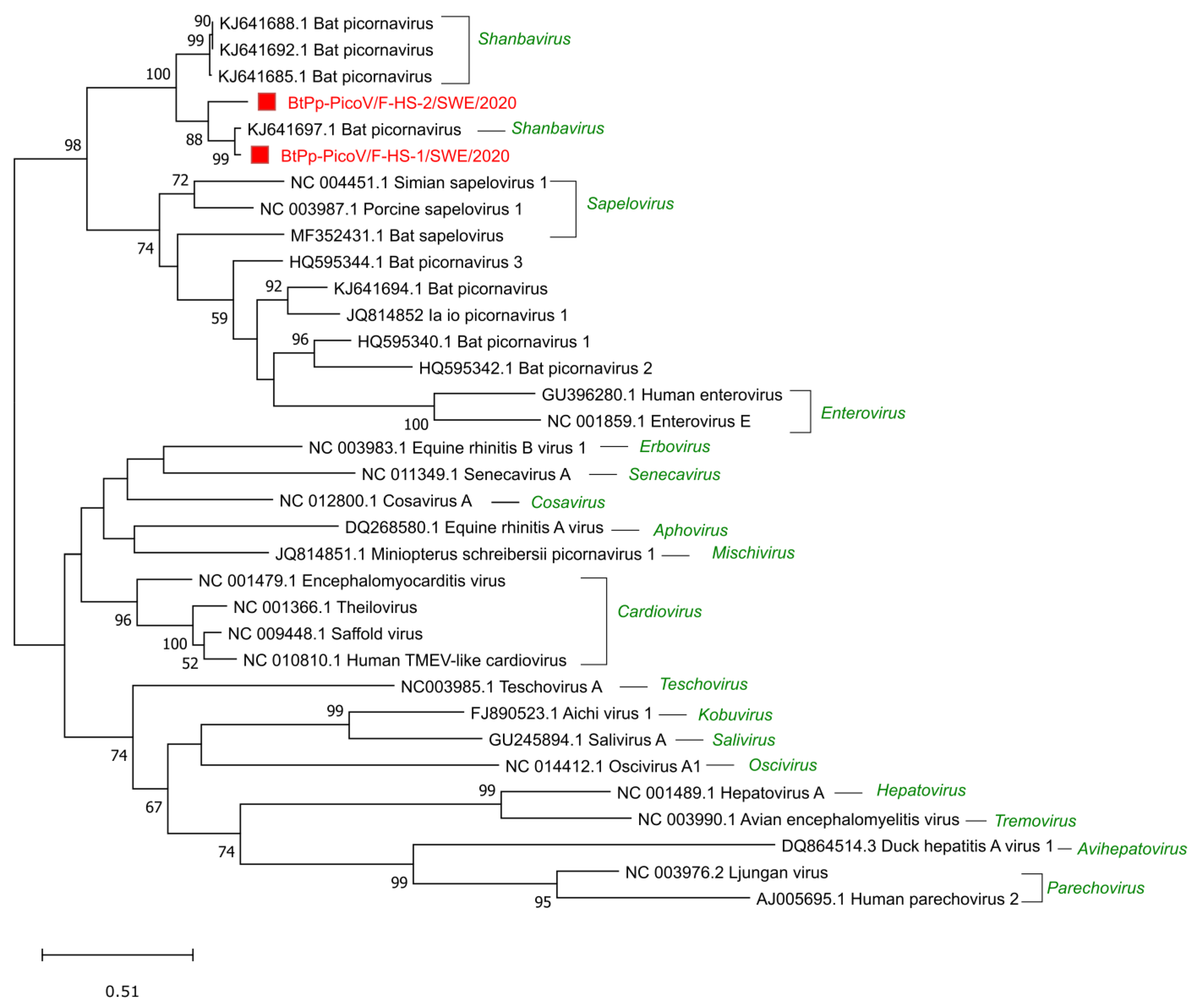 Viruses 14 01654 g004