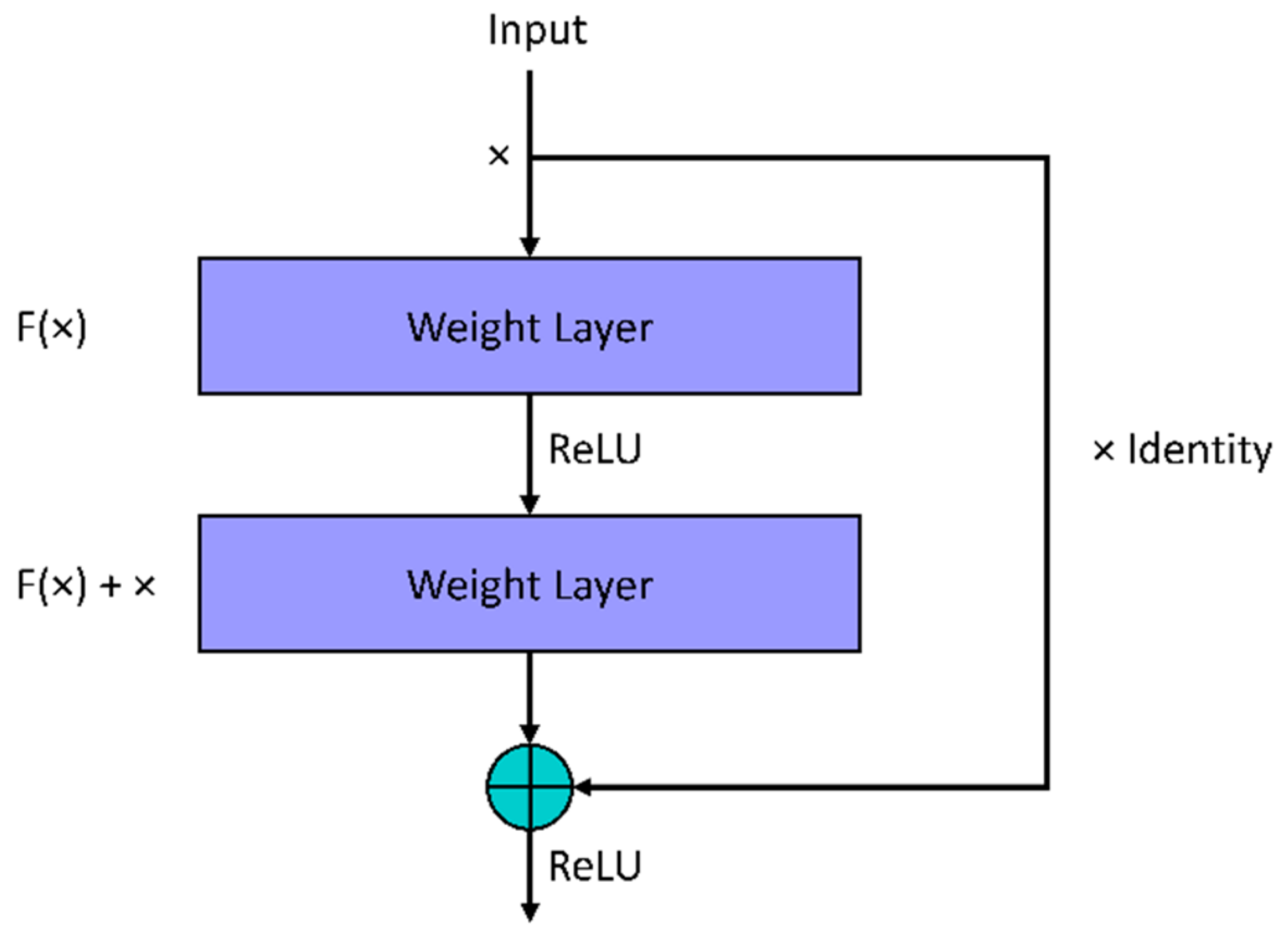 Viruses 14 01667 g003