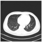 Viruses 14 01667 i008