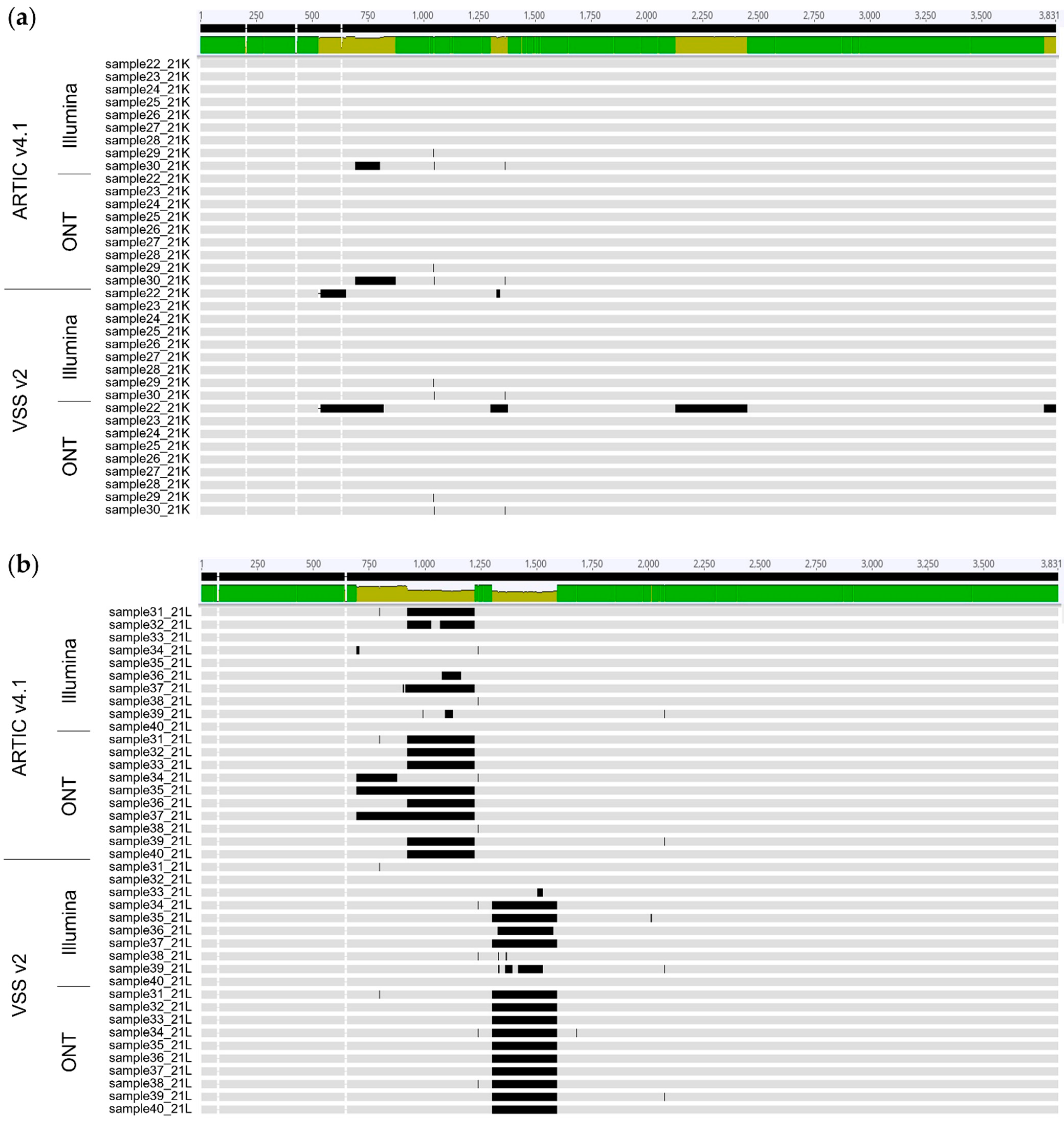 Viruses 14 01674 g004 Viruses 14 01674 g004