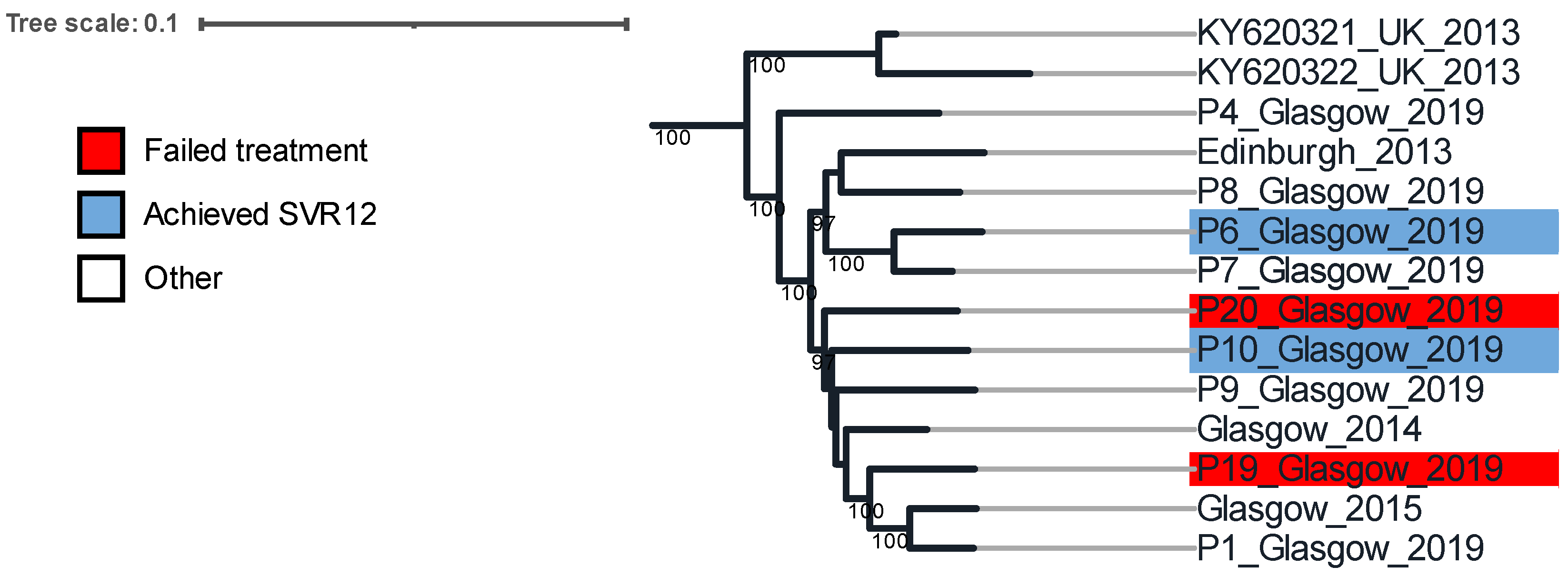 Viruses 14 01678 g001