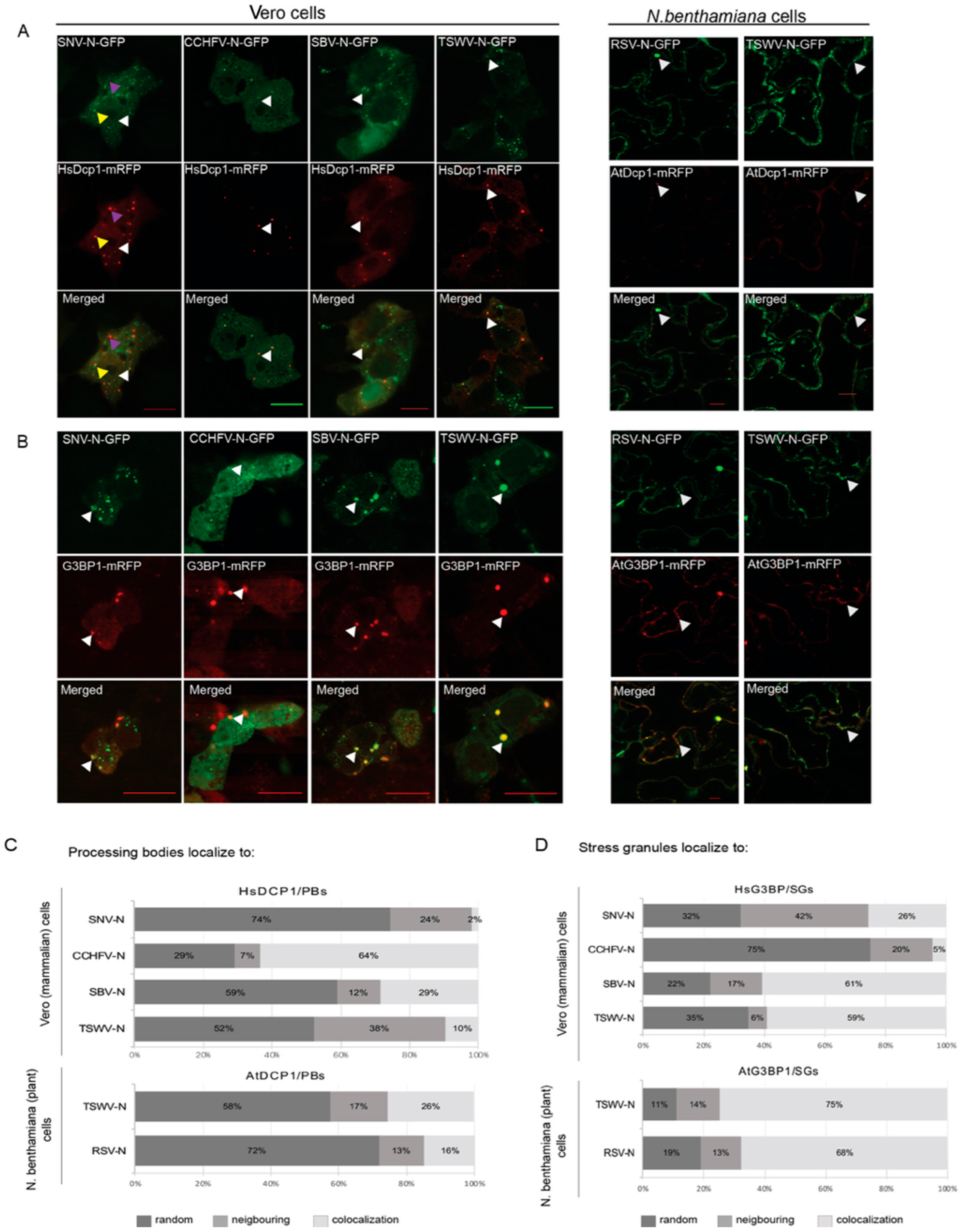 Viruses 14 01679 g001