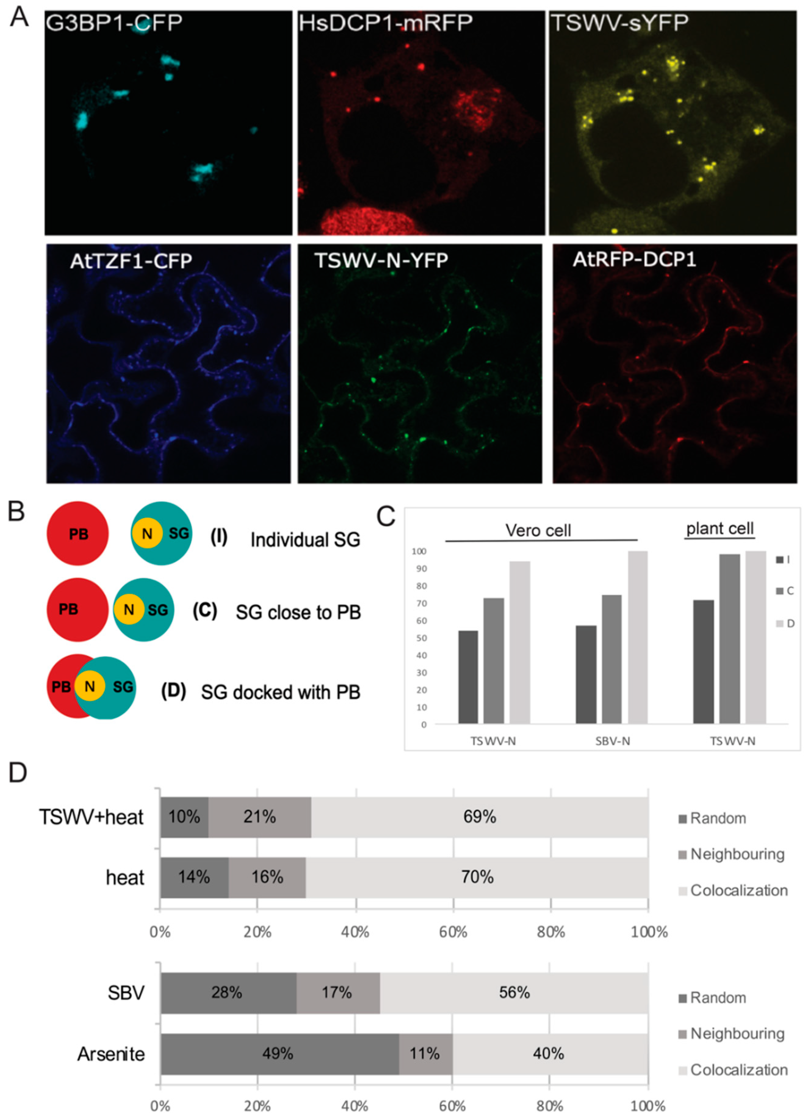 Viruses 14 01679 g003