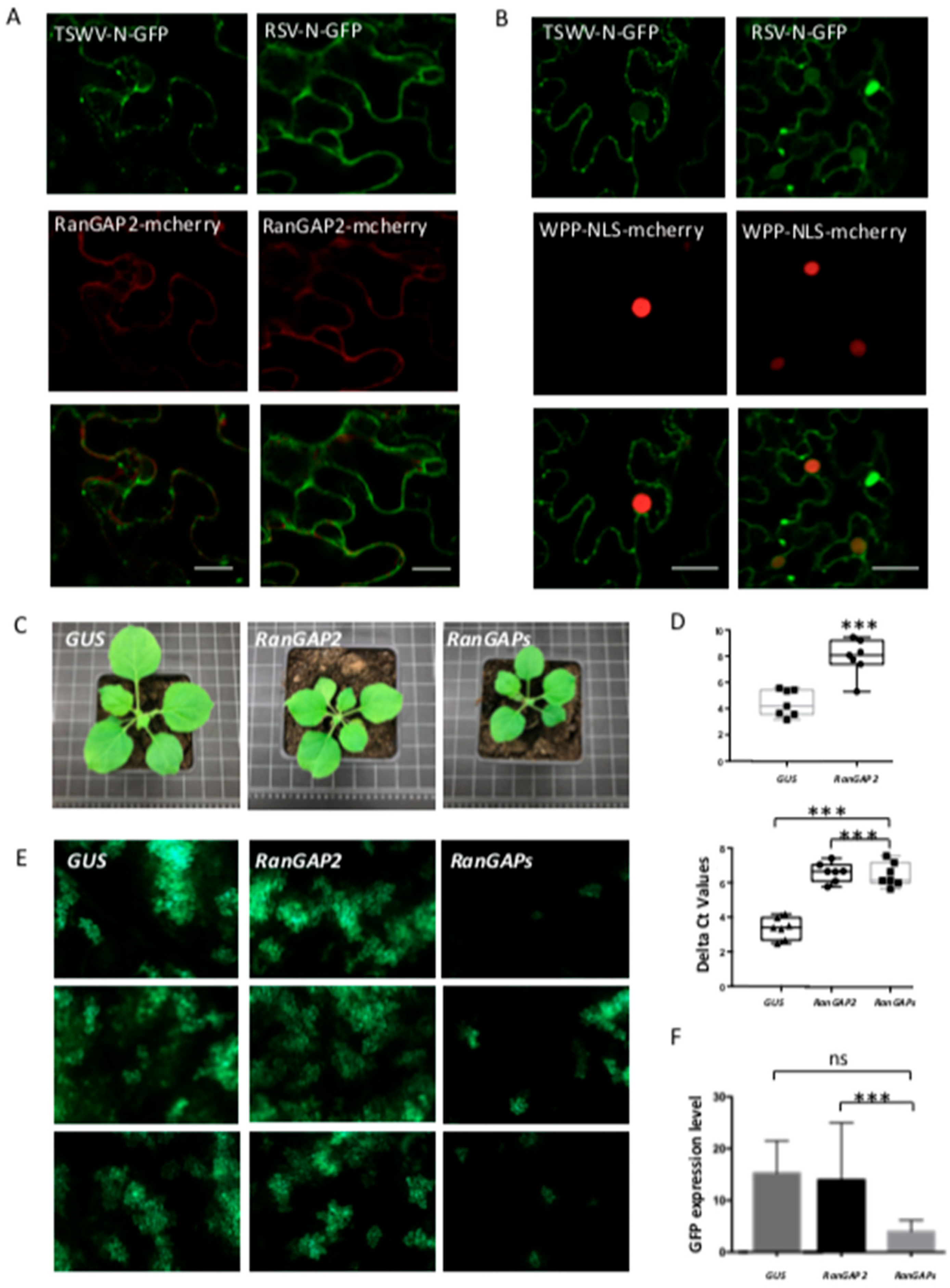 Viruses 14 01679 g008
