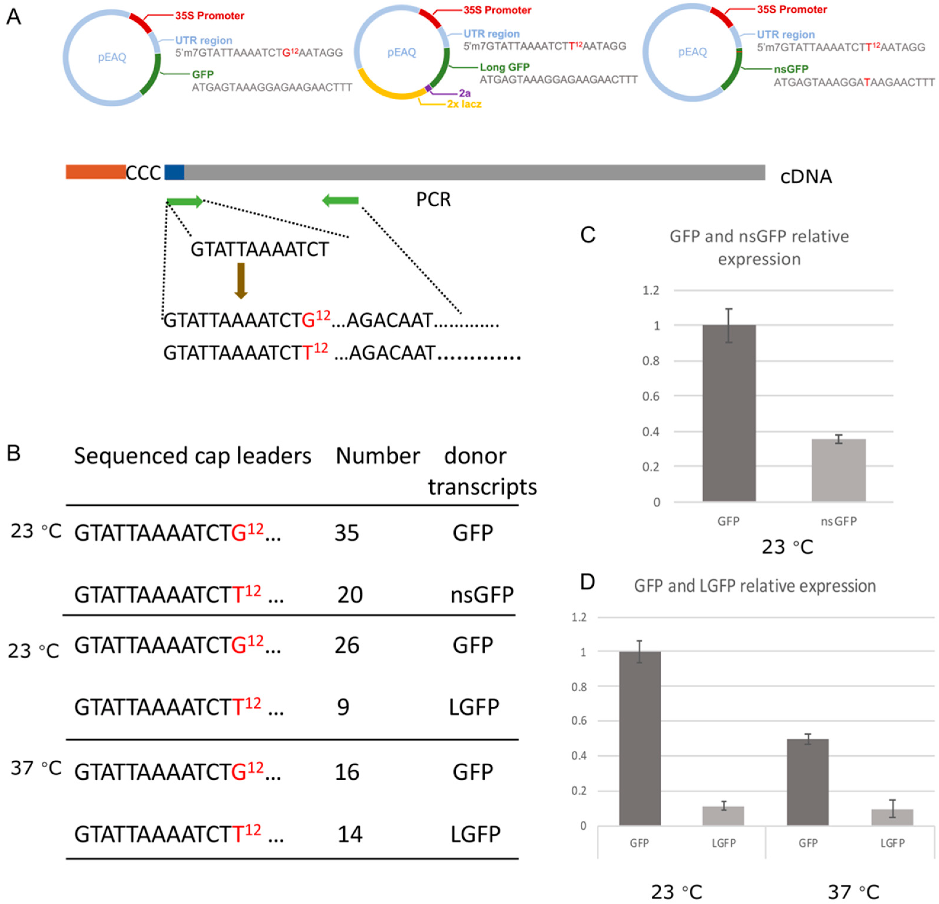 Viruses 14 01679 g009