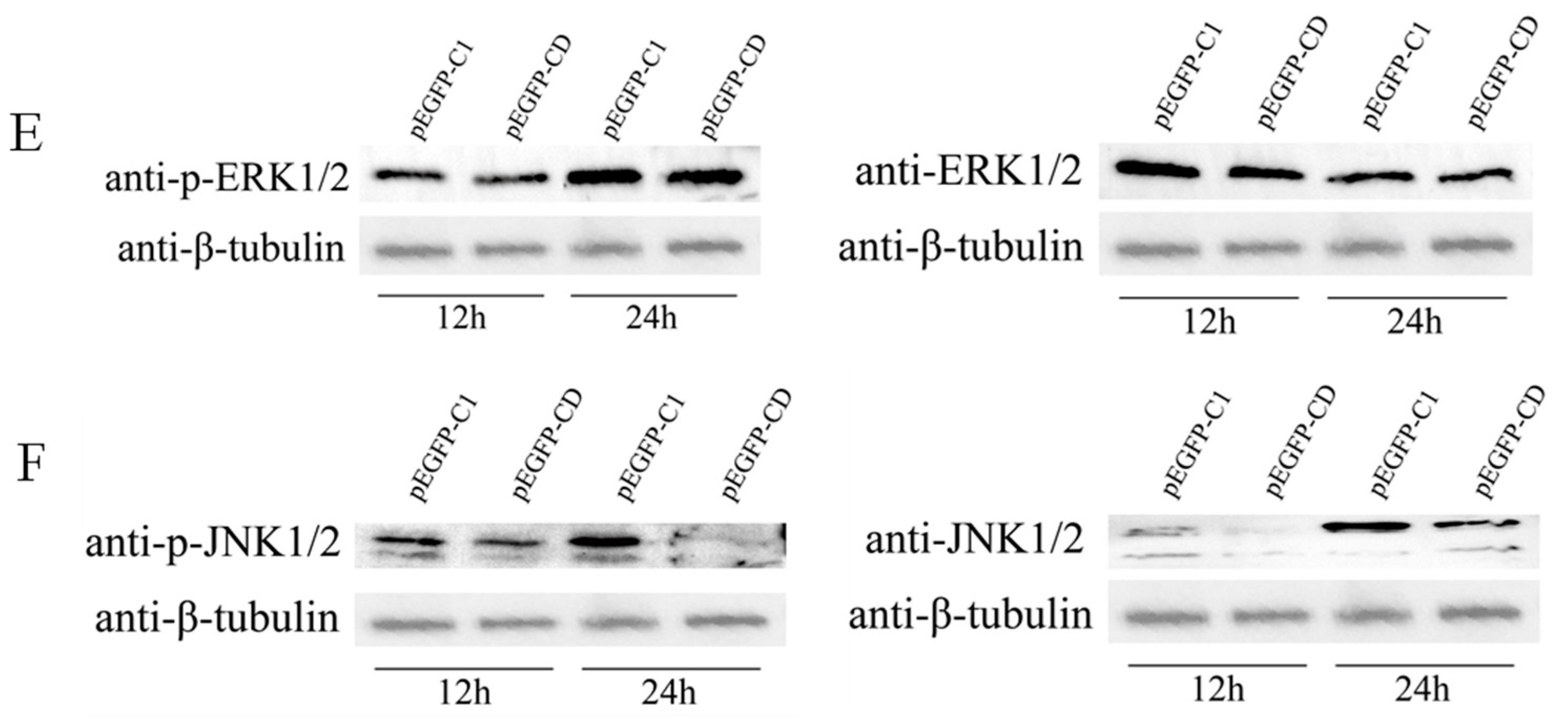 Viruses 14 01680 g003b