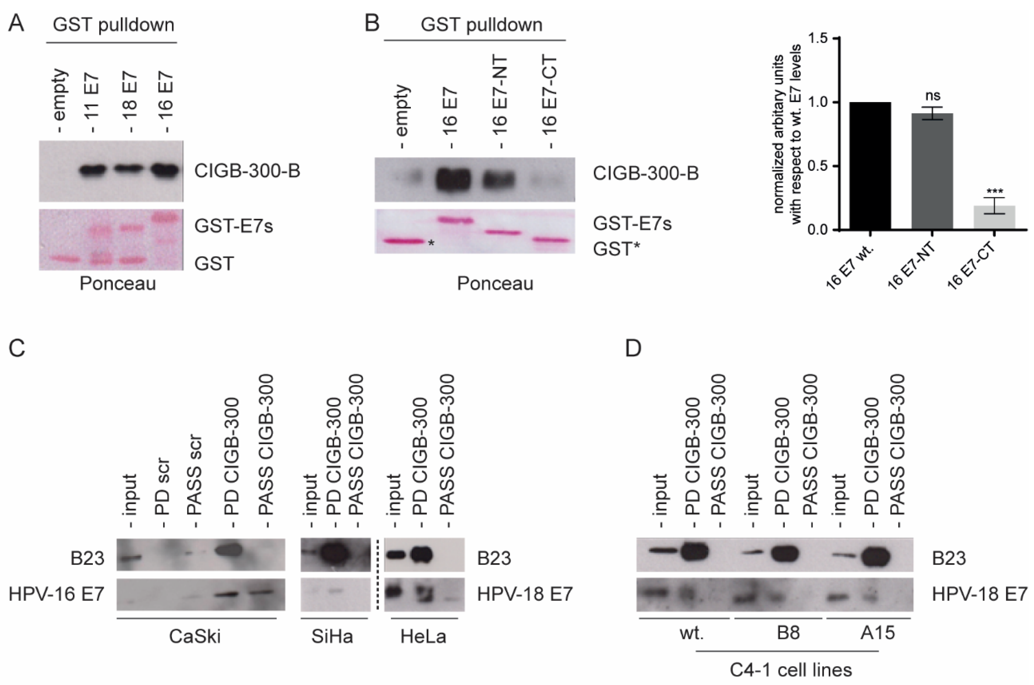 Viruses 14 01681 g001