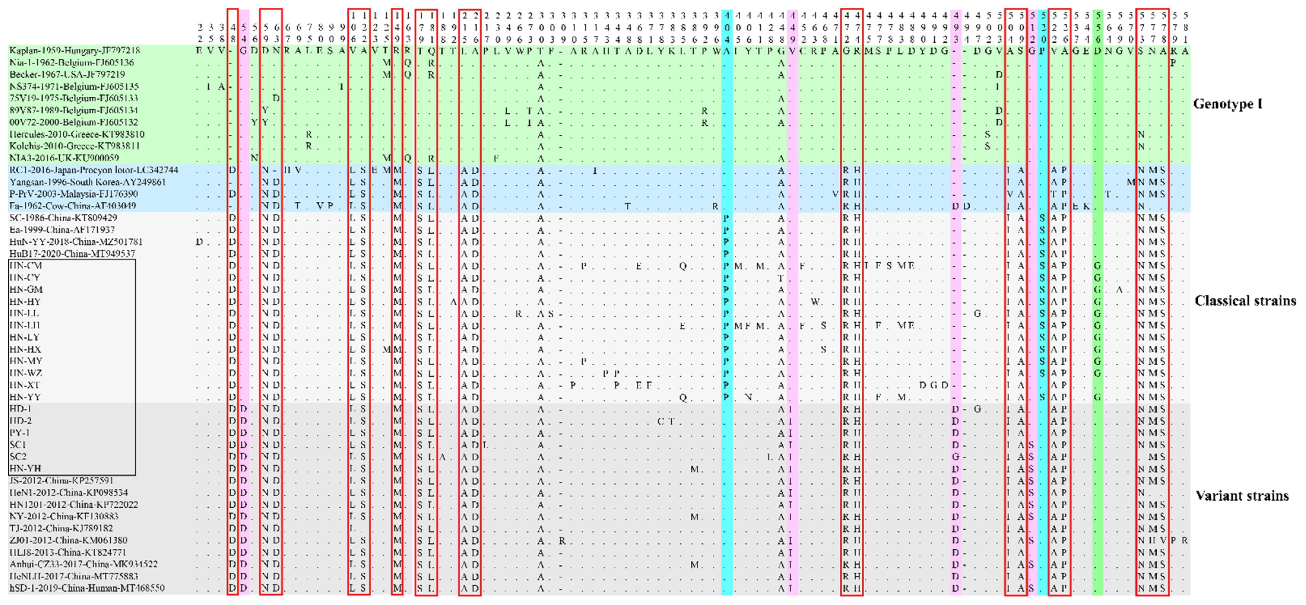 Viruses 14 01685 g004