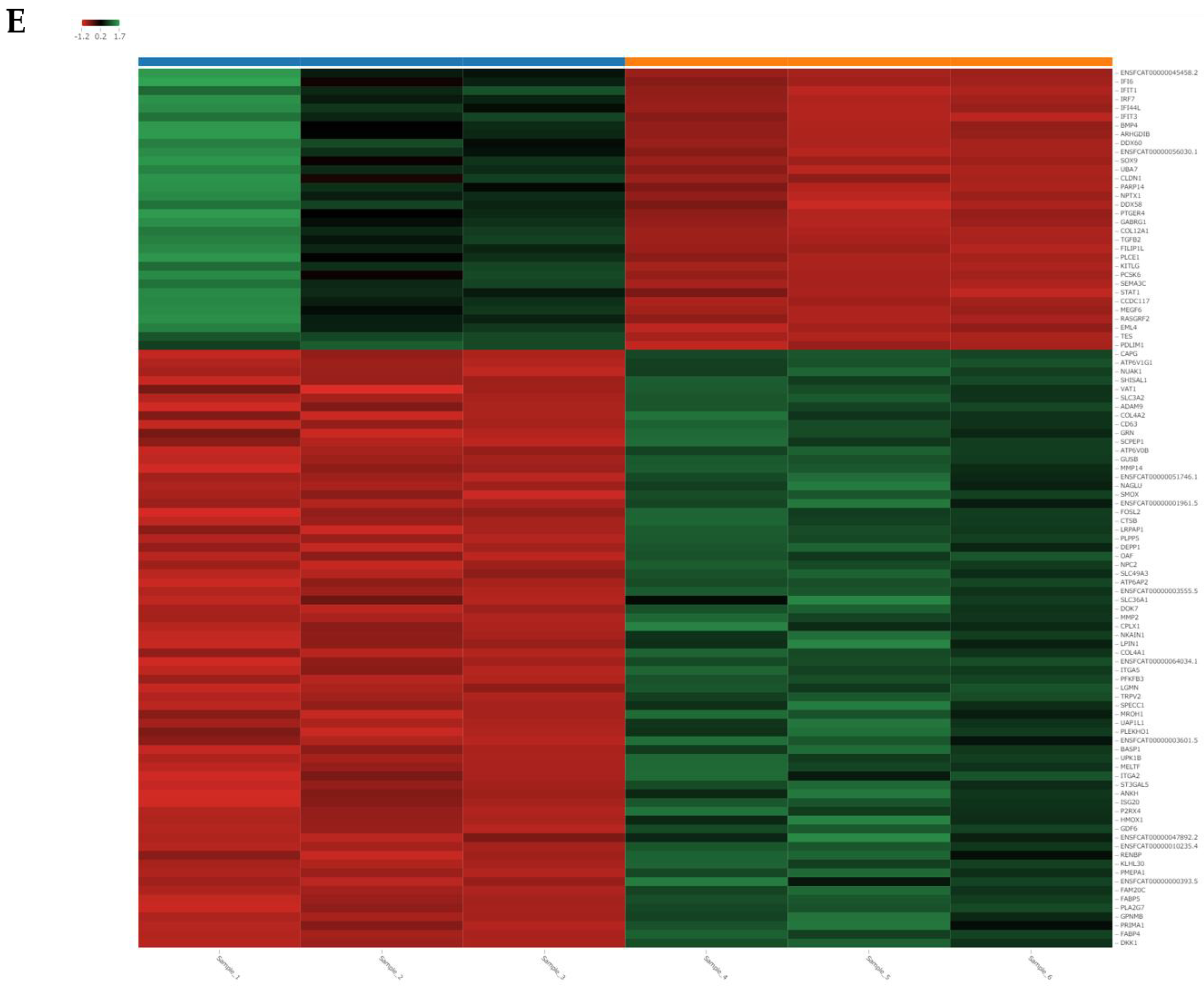 Viruses 14 01687 g007b