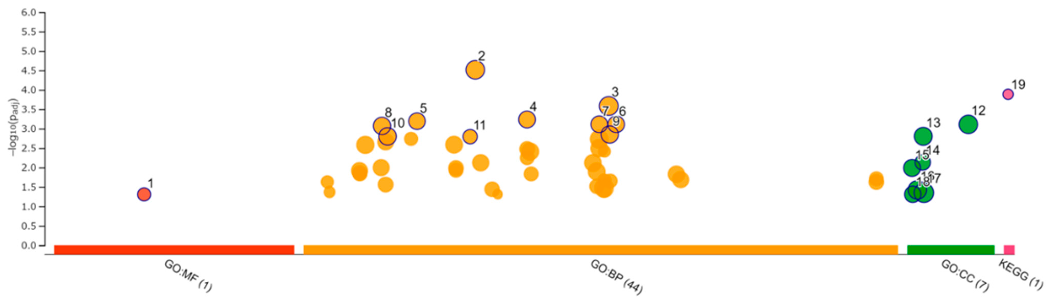 Viruses 14 01687 g008