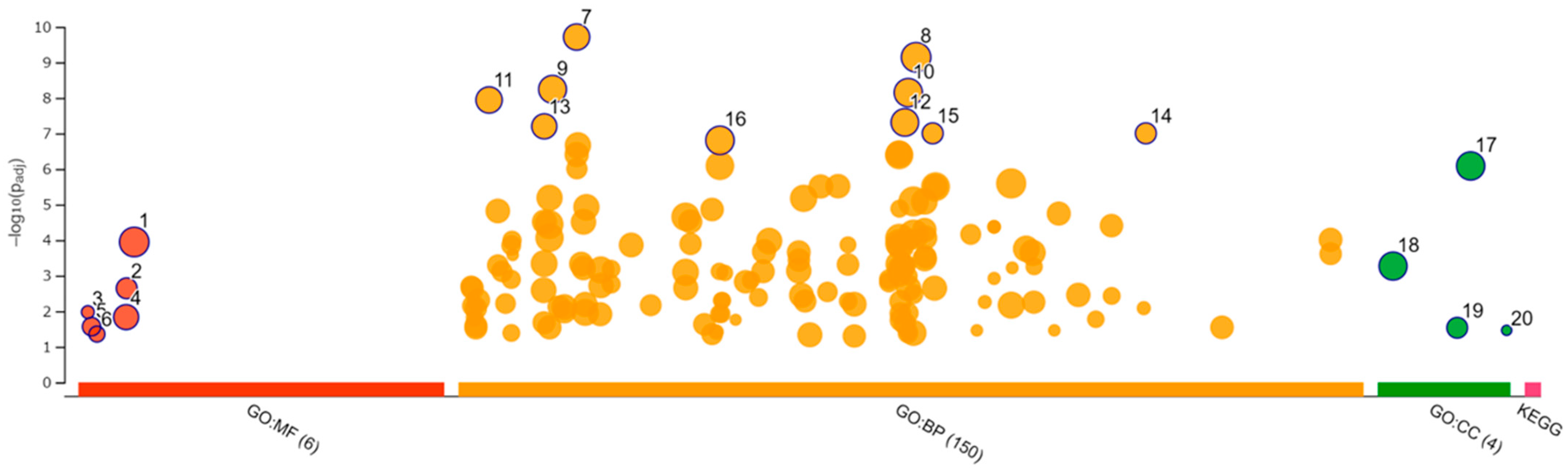 Viruses 14 01687 g009