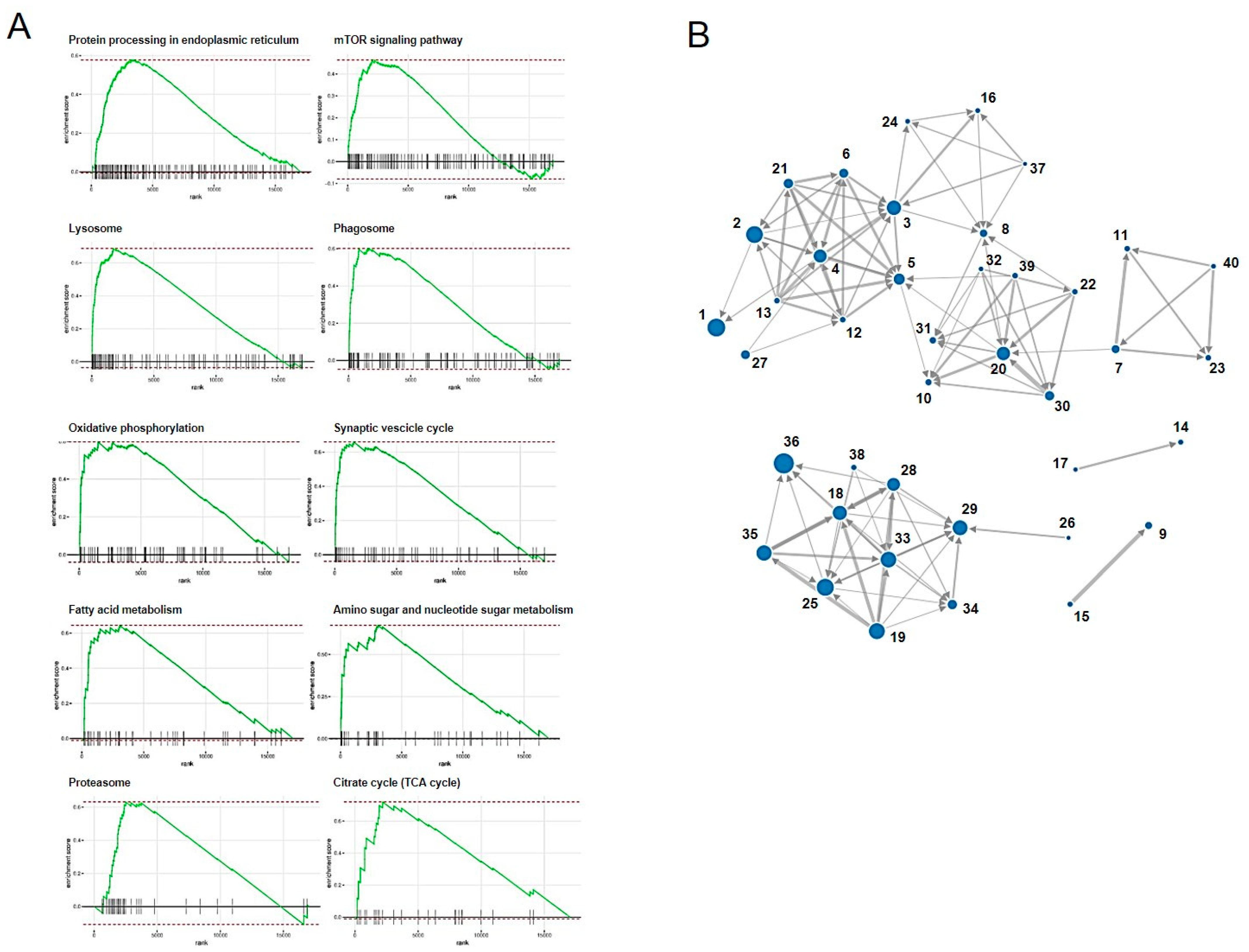 Viruses 14 01687 g010