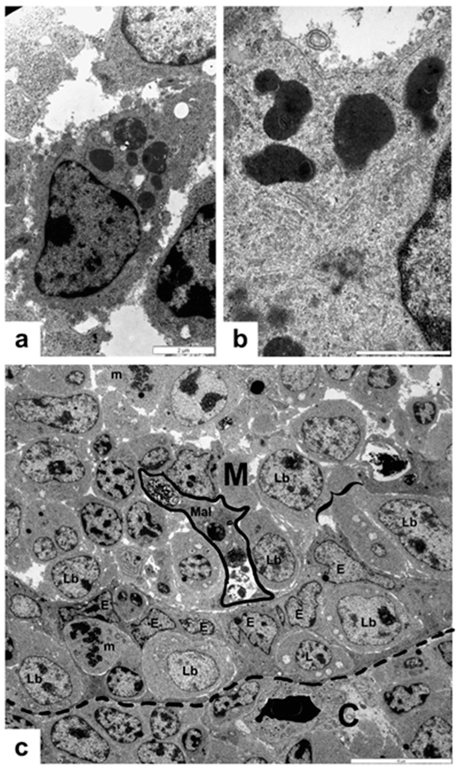 Viruses 14 01689 g001 Viruses 14 01689 g001