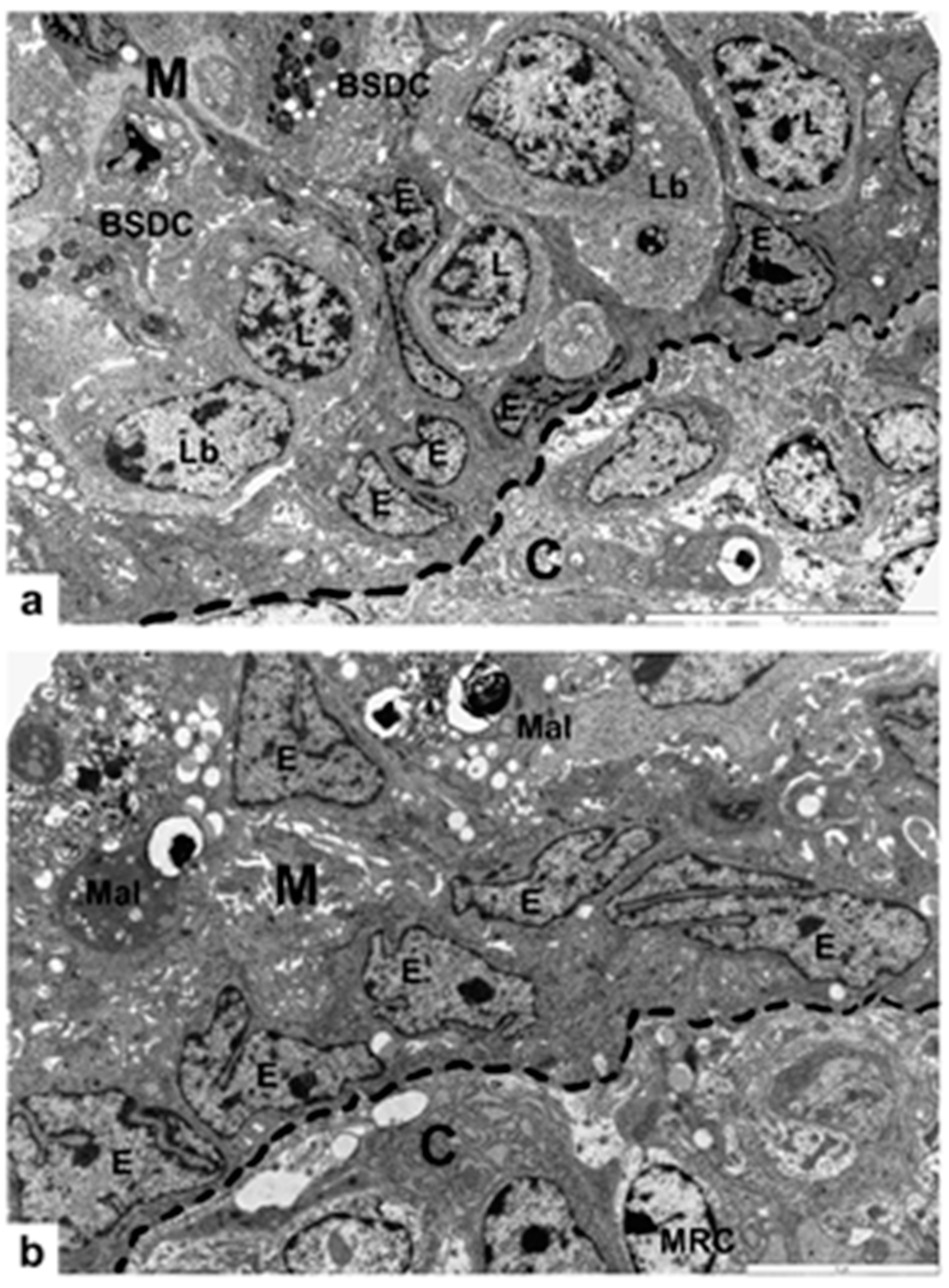 Viruses 14 01689 g005 Viruses 14 01689 g005