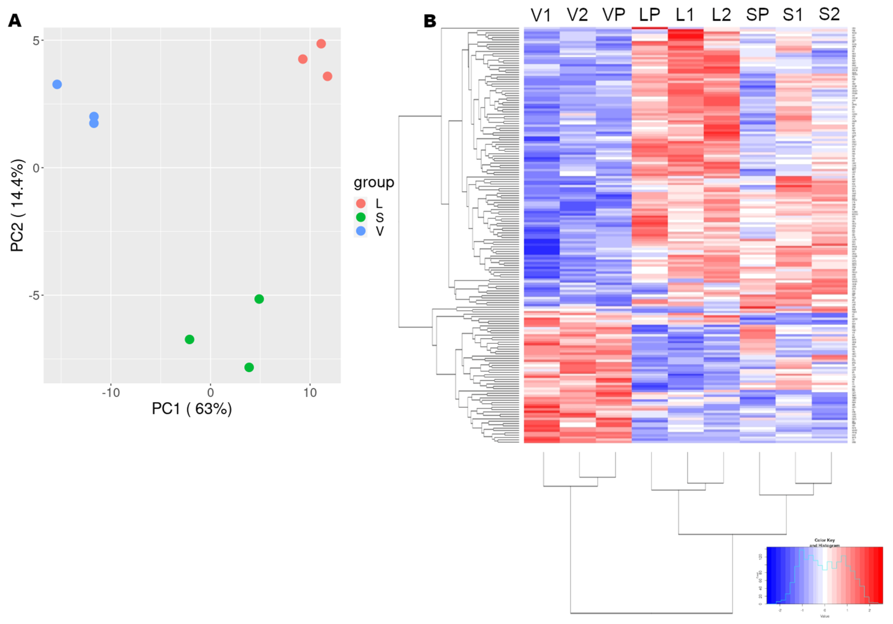 Viruses 14 01694 g002