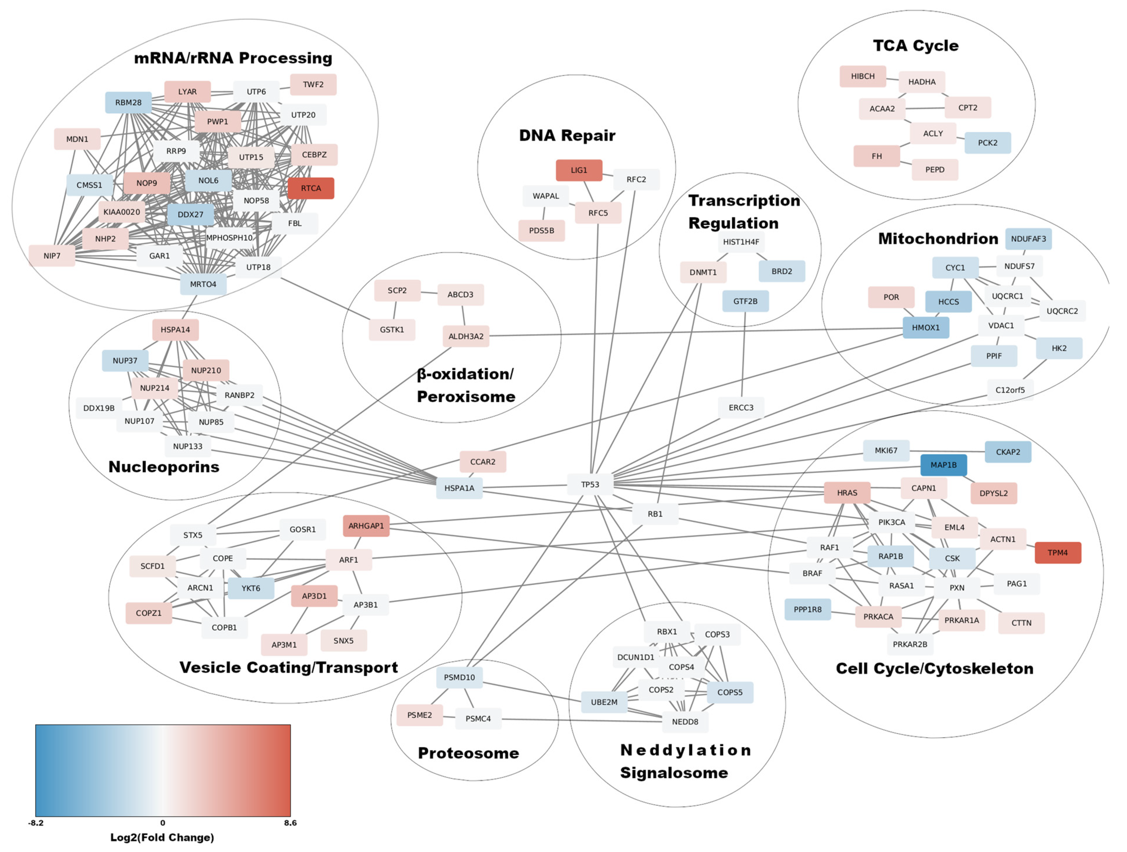Viruses 14 01694 g003