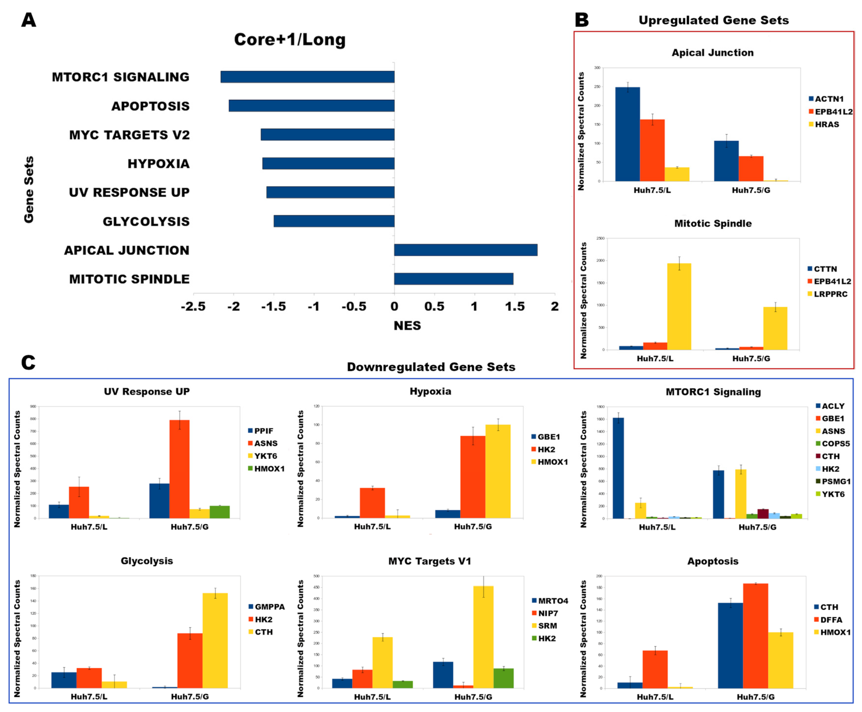 Viruses 14 01694 g004