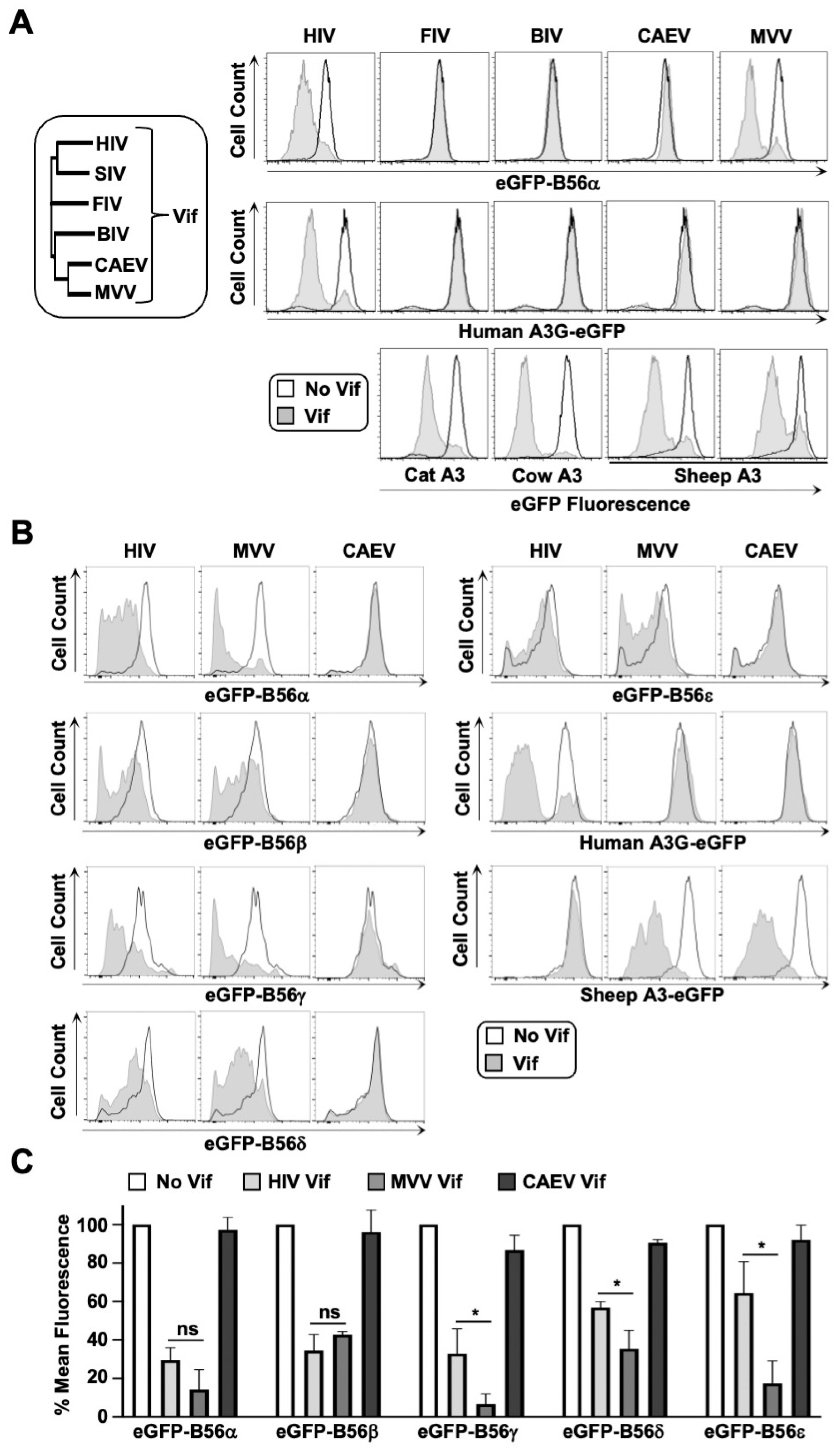 Viruses 14 01701 g001