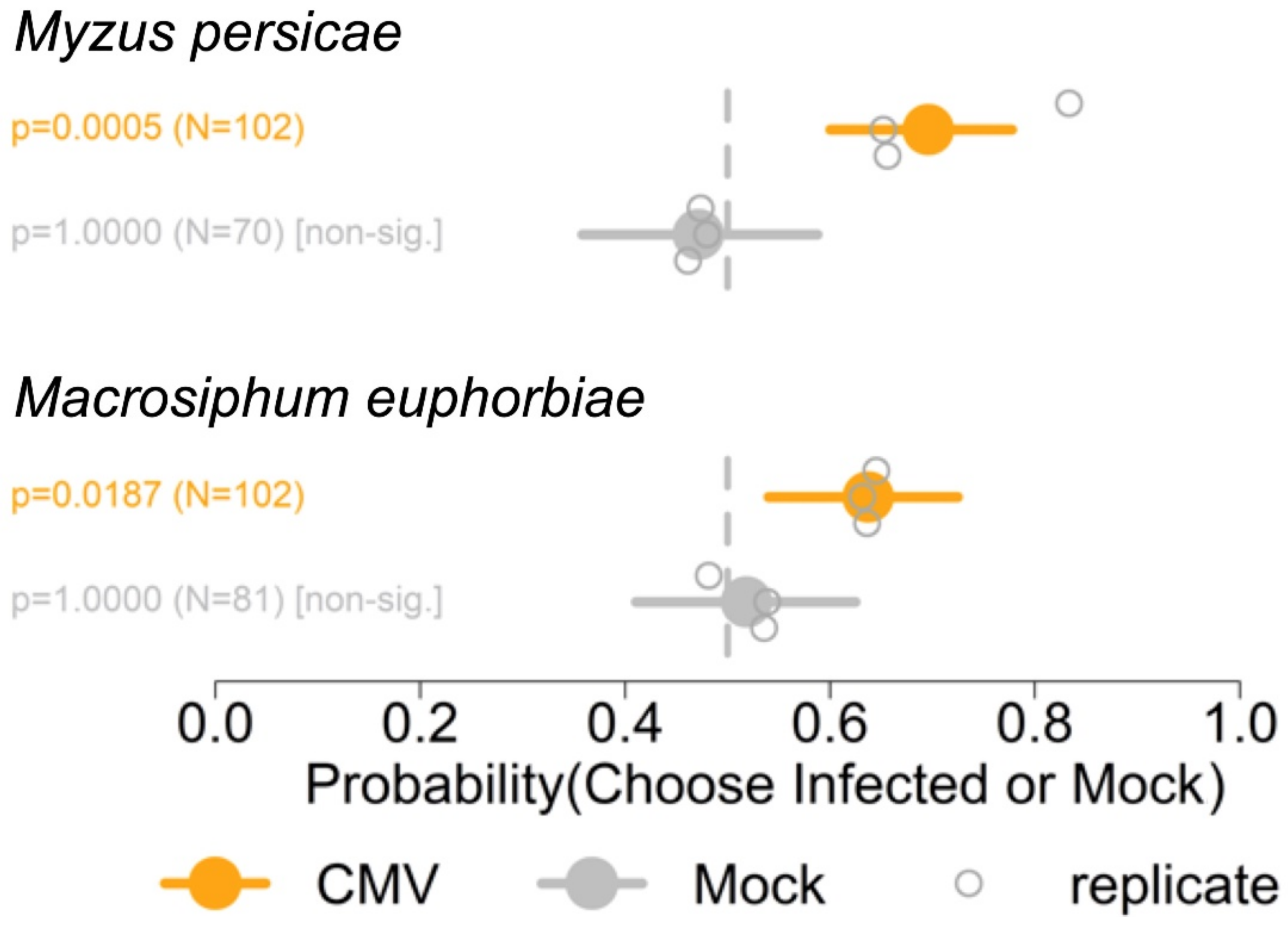 Viruses 14 01703 g003 Viruses 14 01703 g003