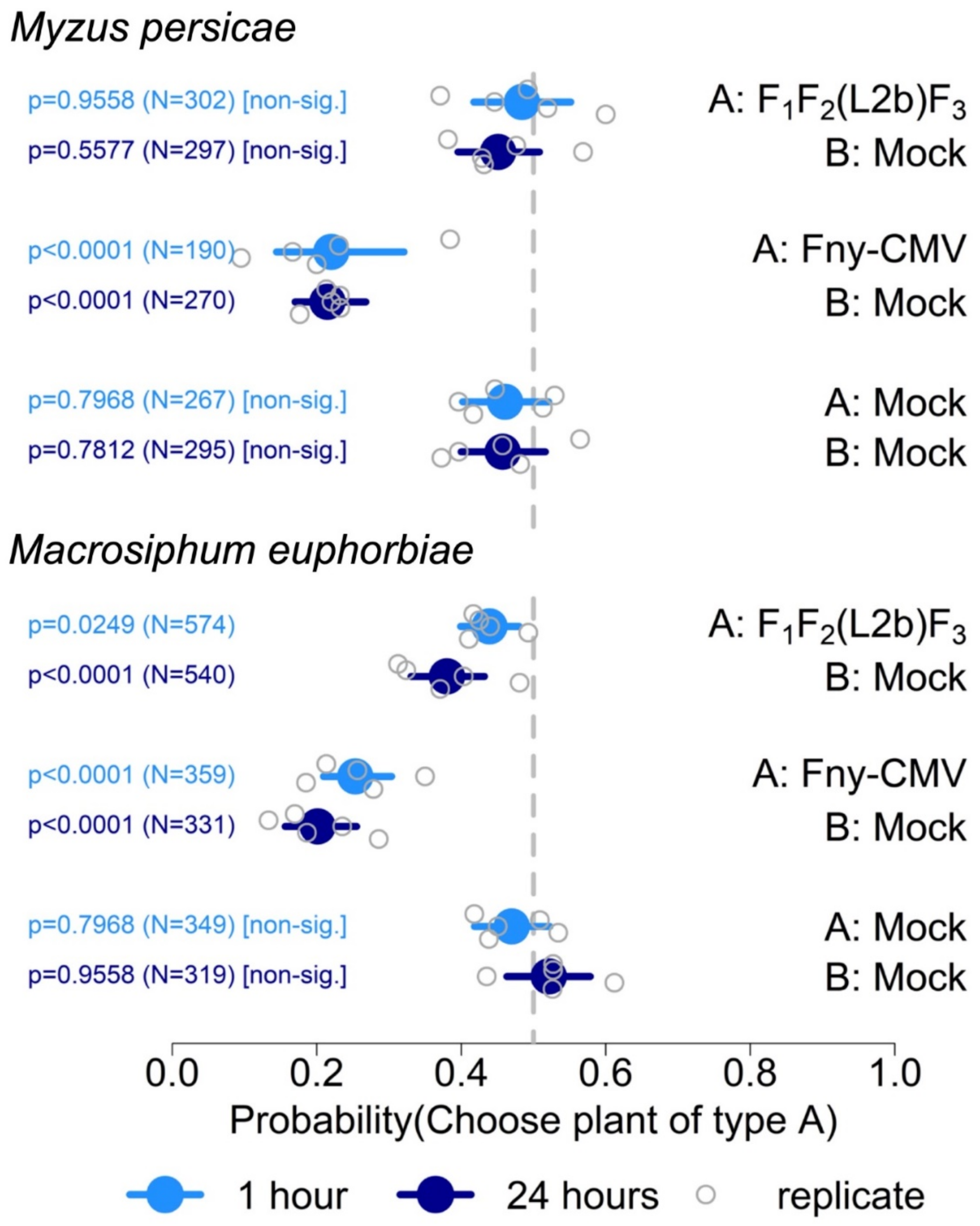 Viruses 14 01703 g006 Viruses 14 01703 g006
