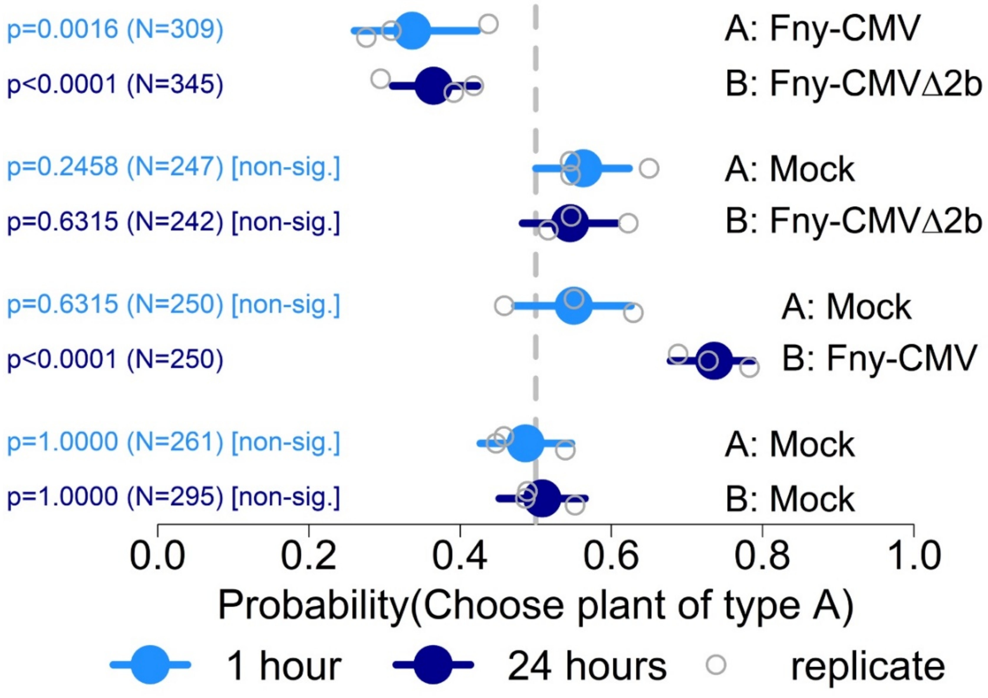 Viruses 14 01703 g007 Viruses 14 01703 g007