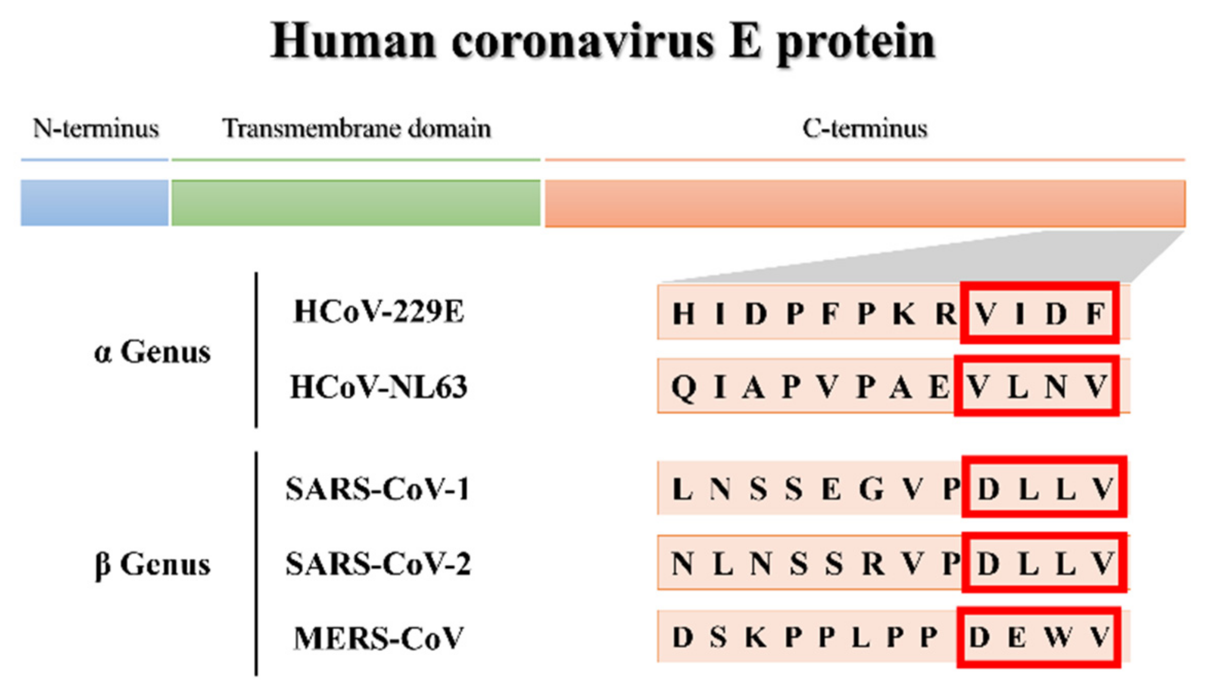 Viruses 14 01707 g001 Viruses 14 01707 g001