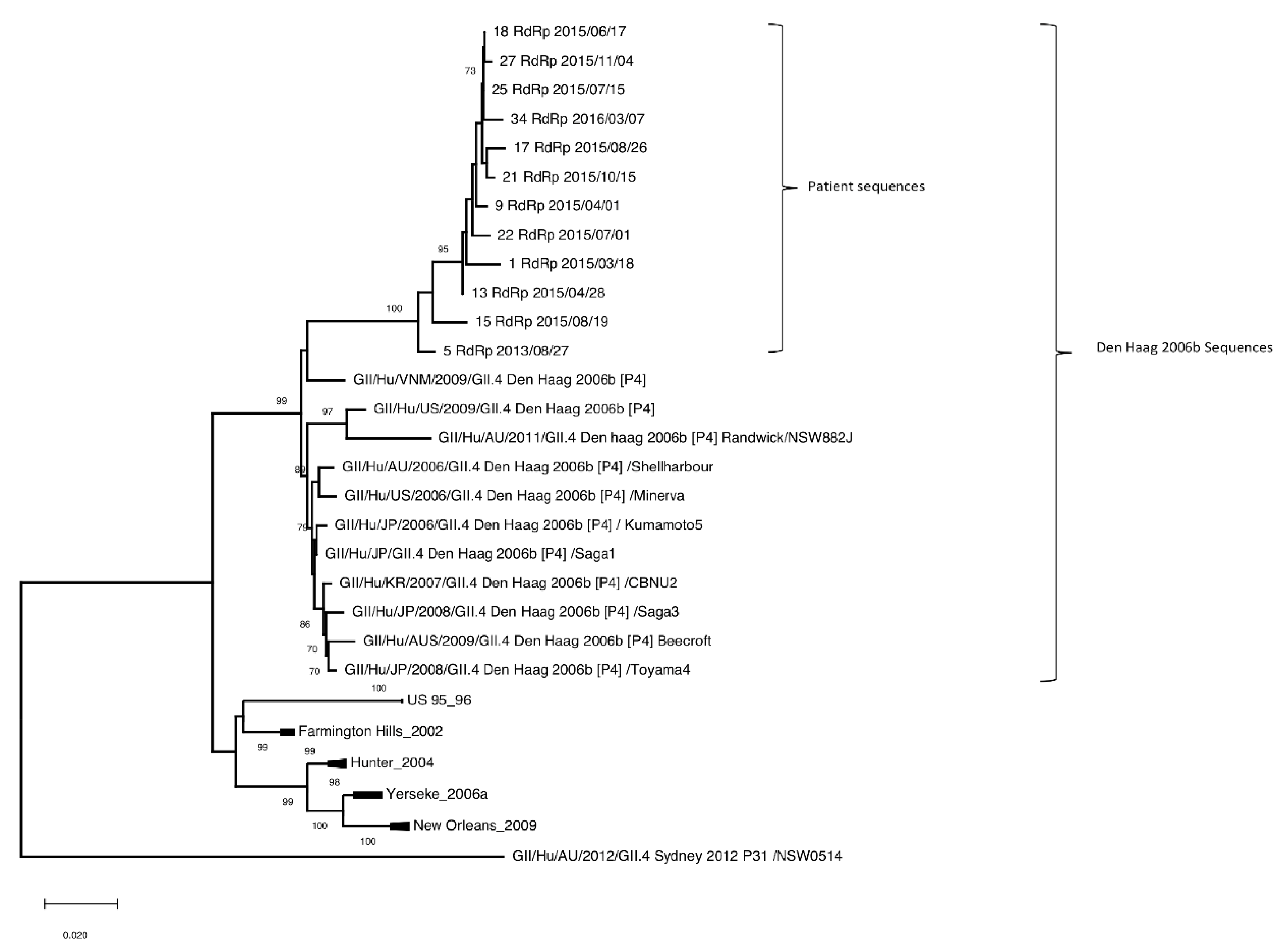 Viruses 14 01708 g002