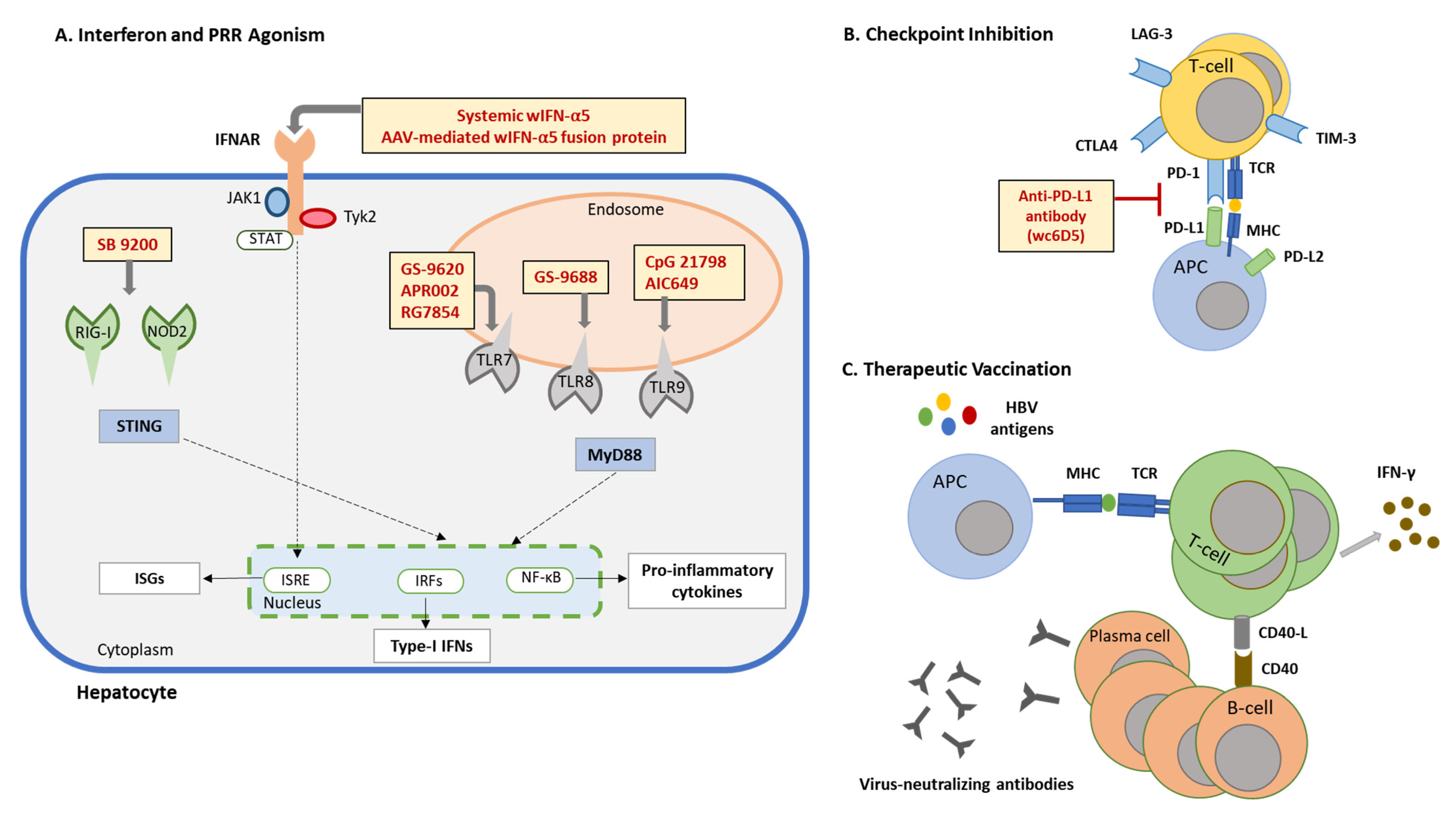 Viruses 14 01711 g001
