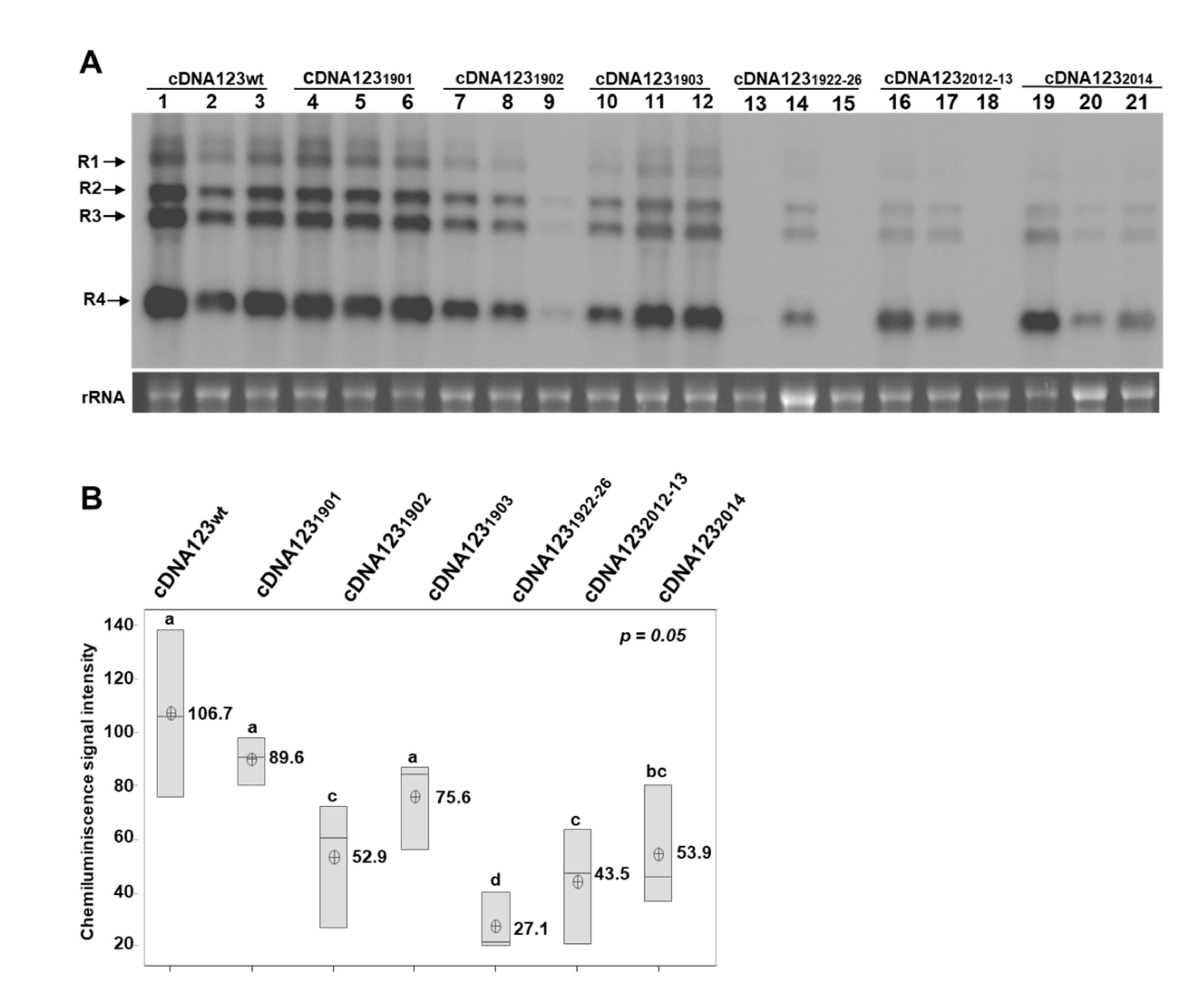 Viruses 14 01718 g002