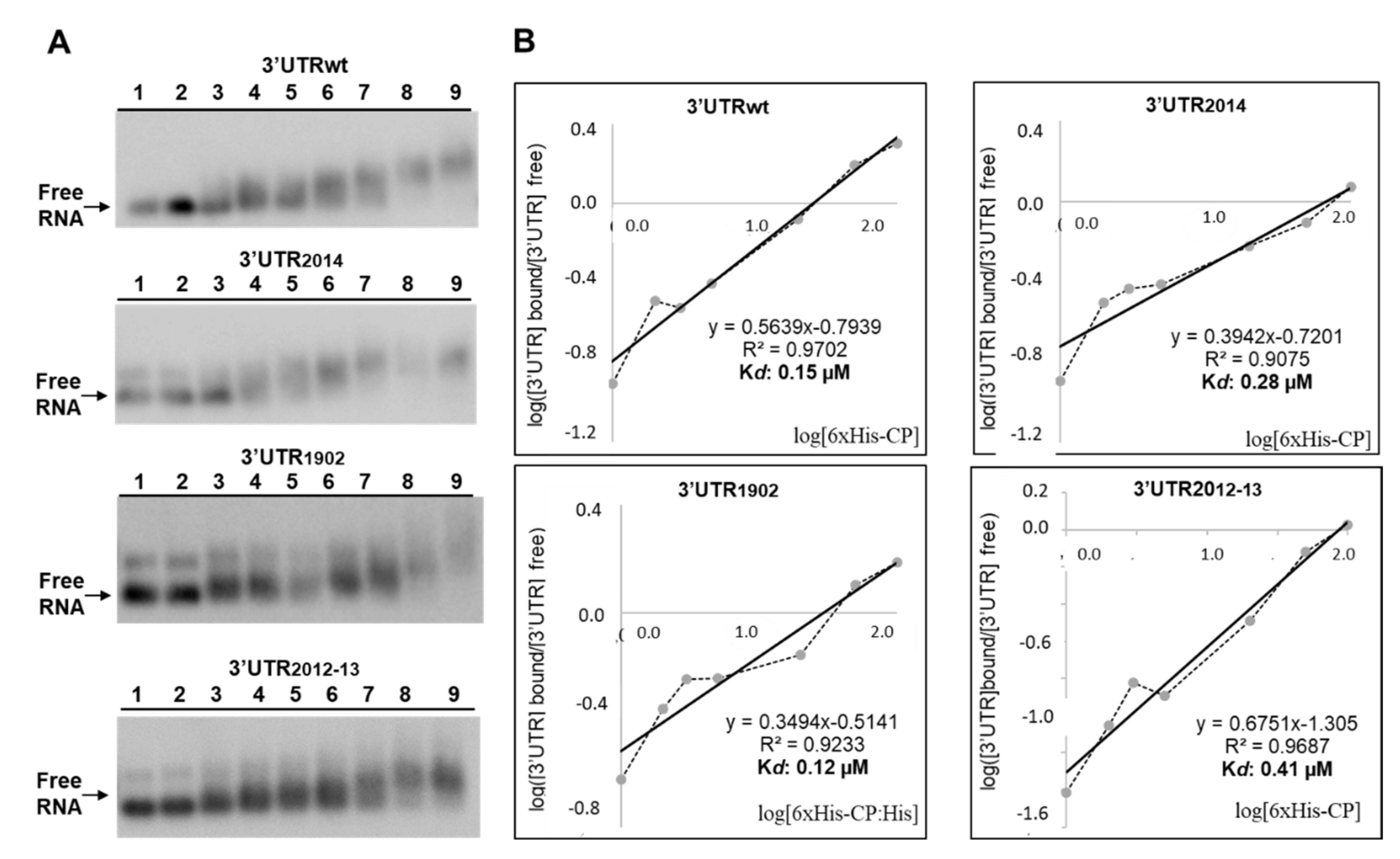 Viruses 14 01718 g003