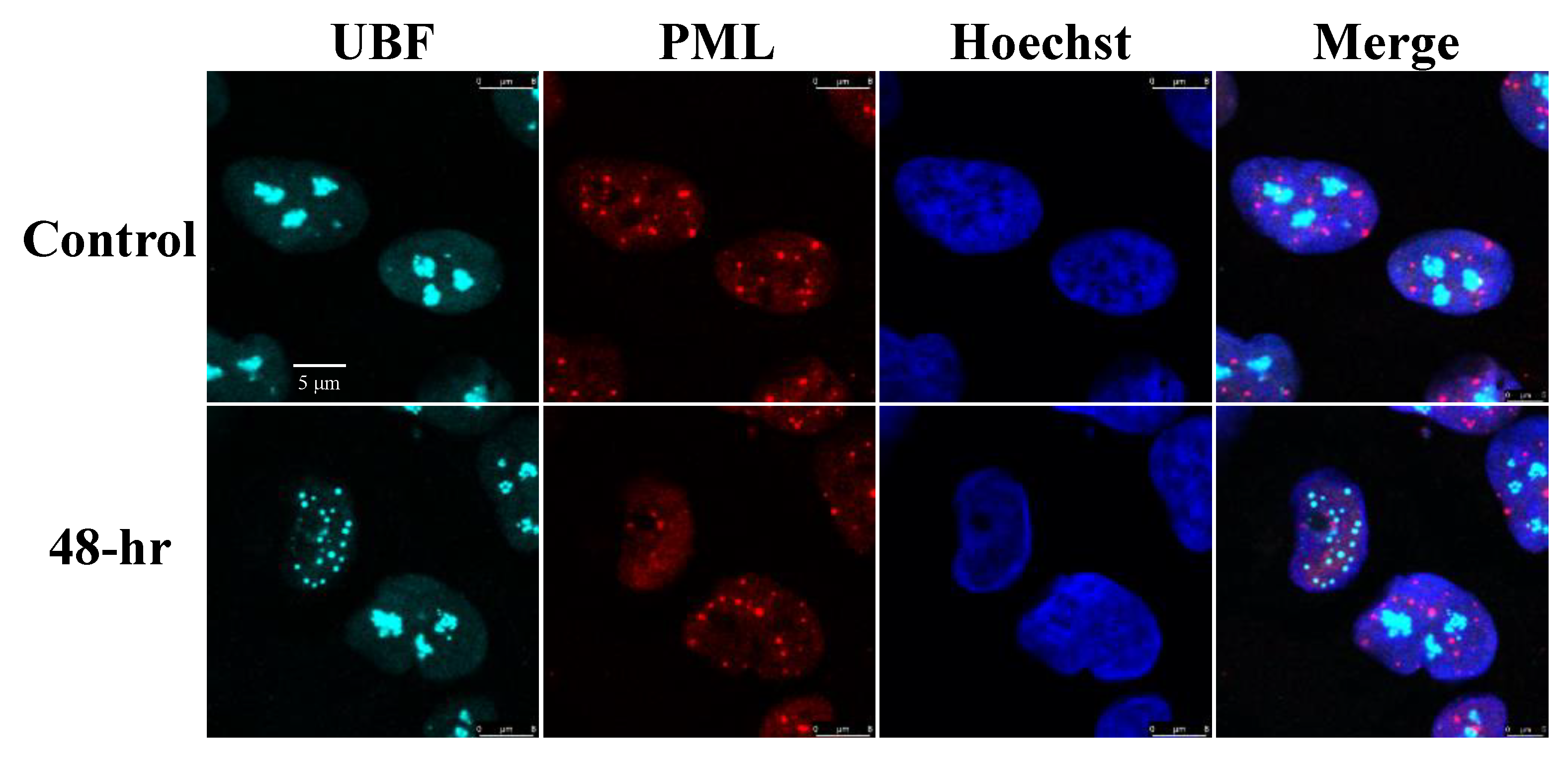 Viruses 14 01720 g002