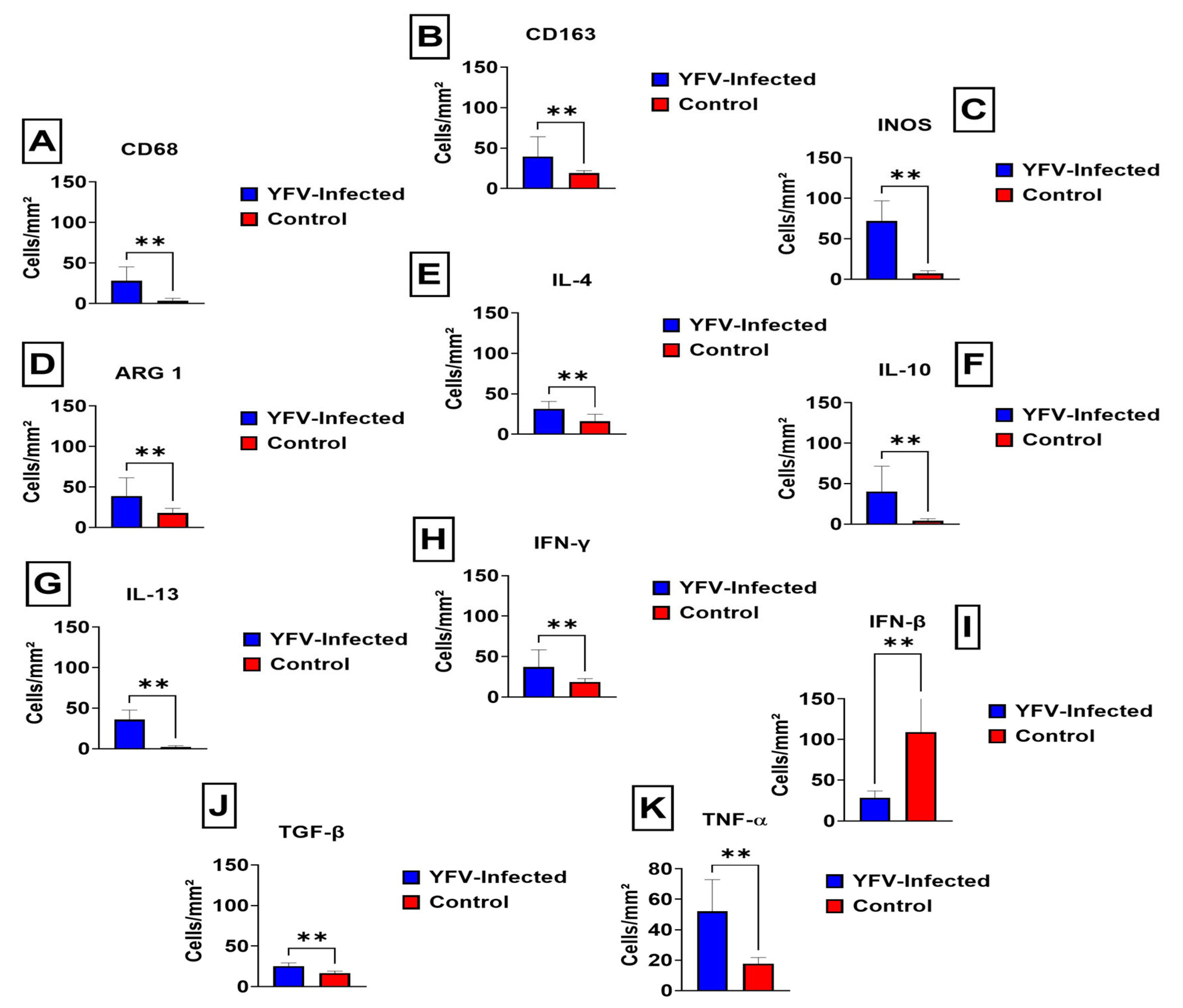 Viruses 14 01725 g002