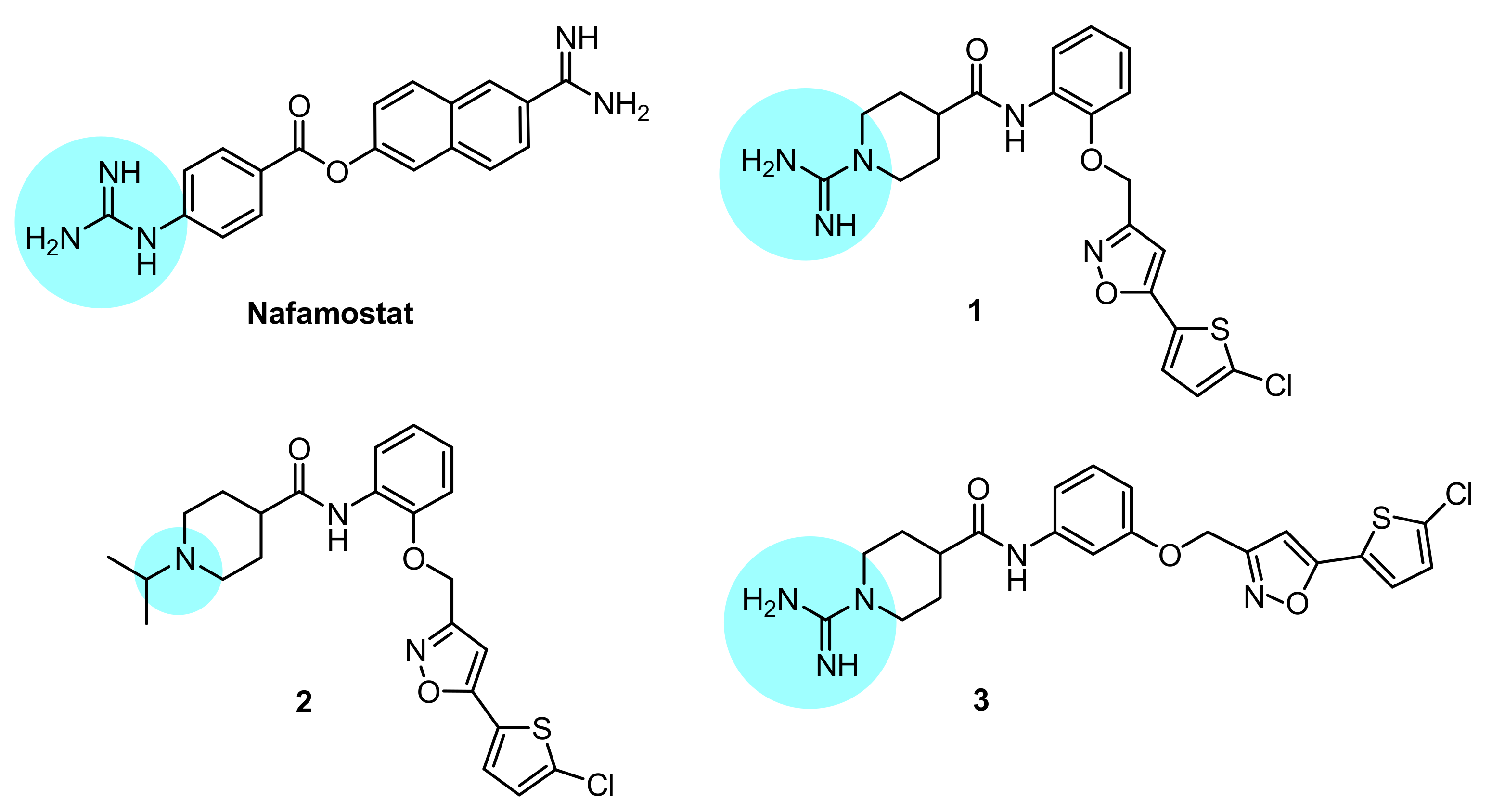 Viruses 14 01730 g001