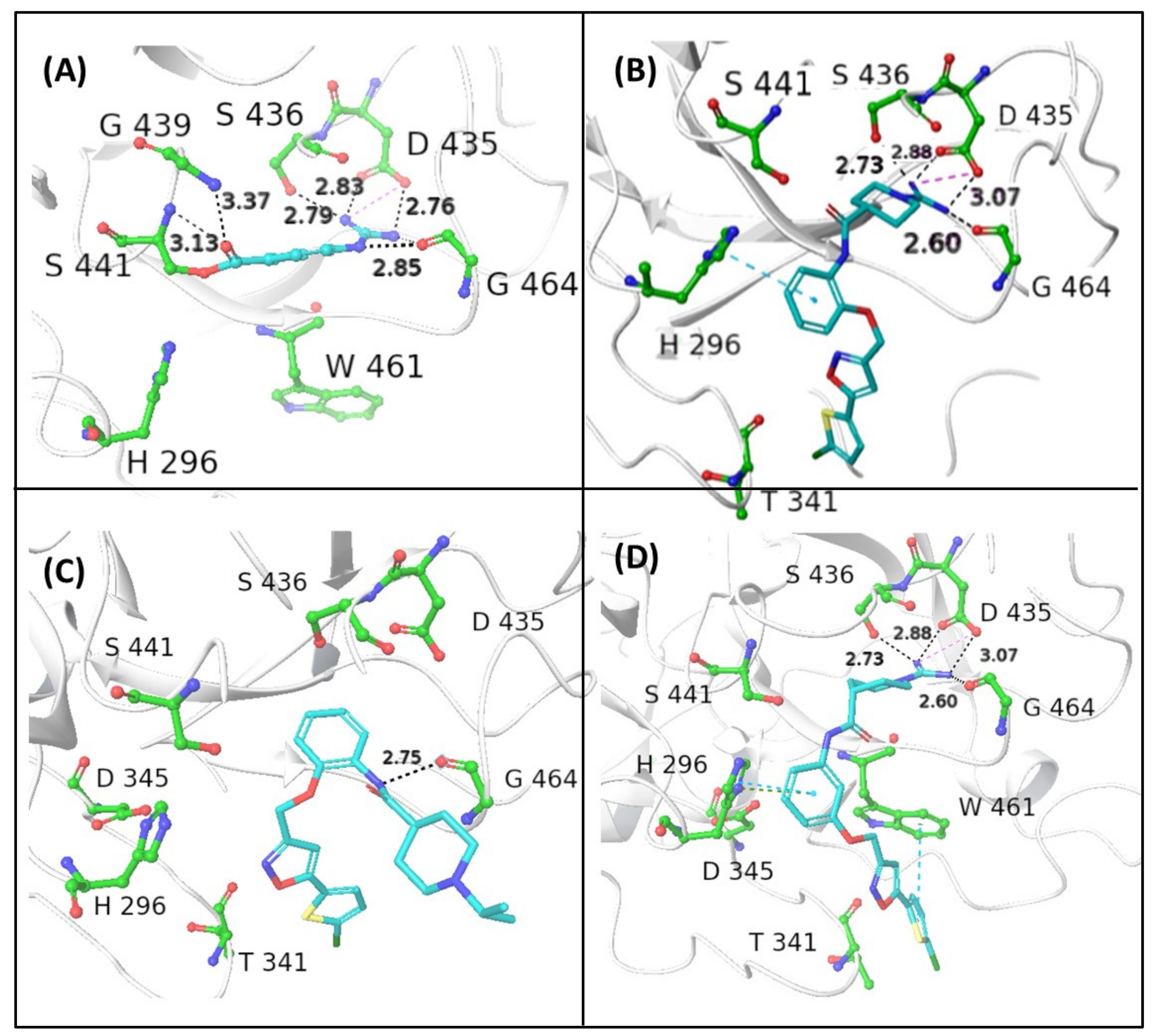 Viruses 14 01730 g003