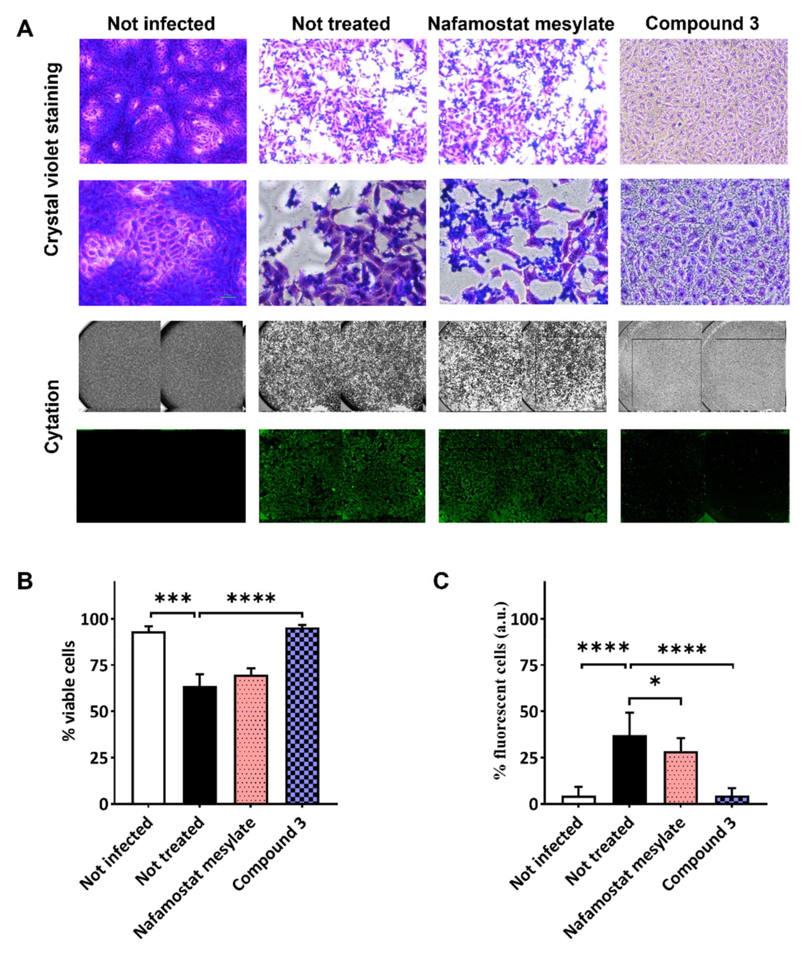 Viruses 14 01730 g005