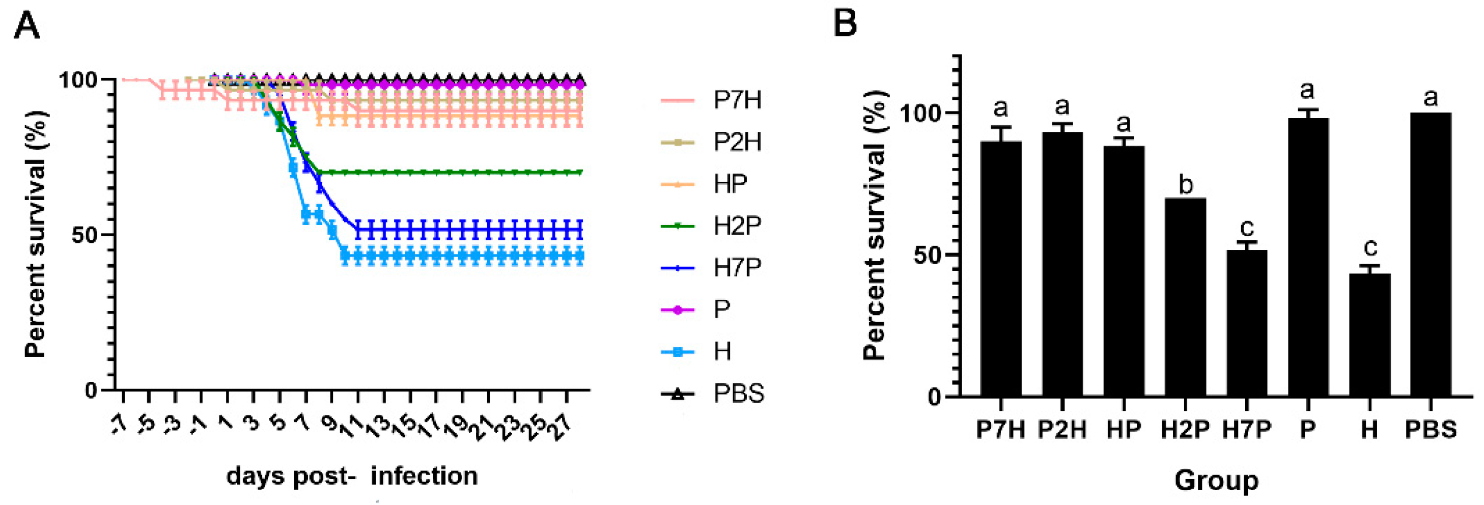 Viruses 14 01732 g002