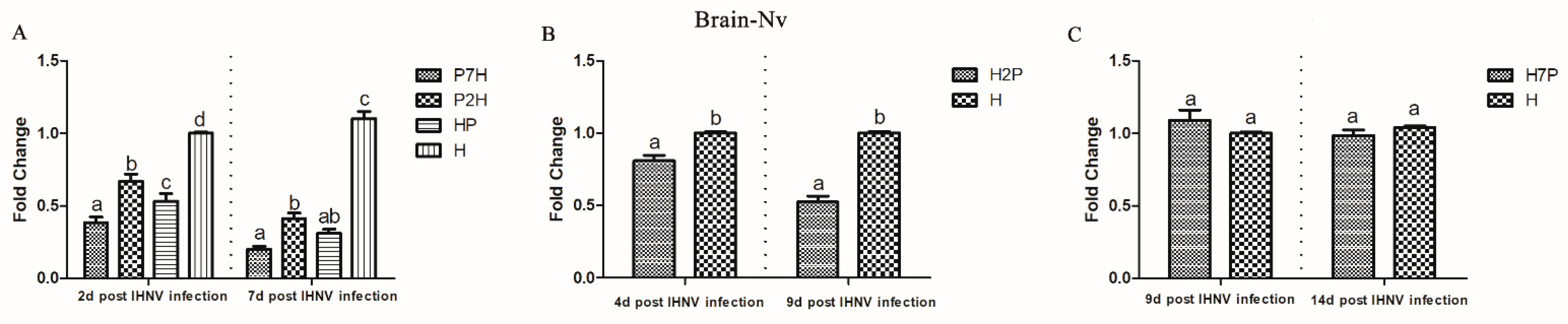 Viruses 14 01732 g003