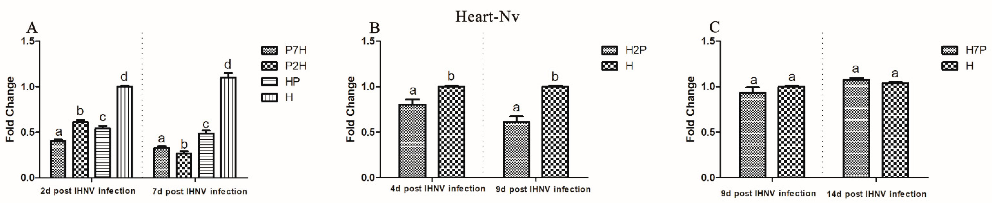 Viruses 14 01732 g005